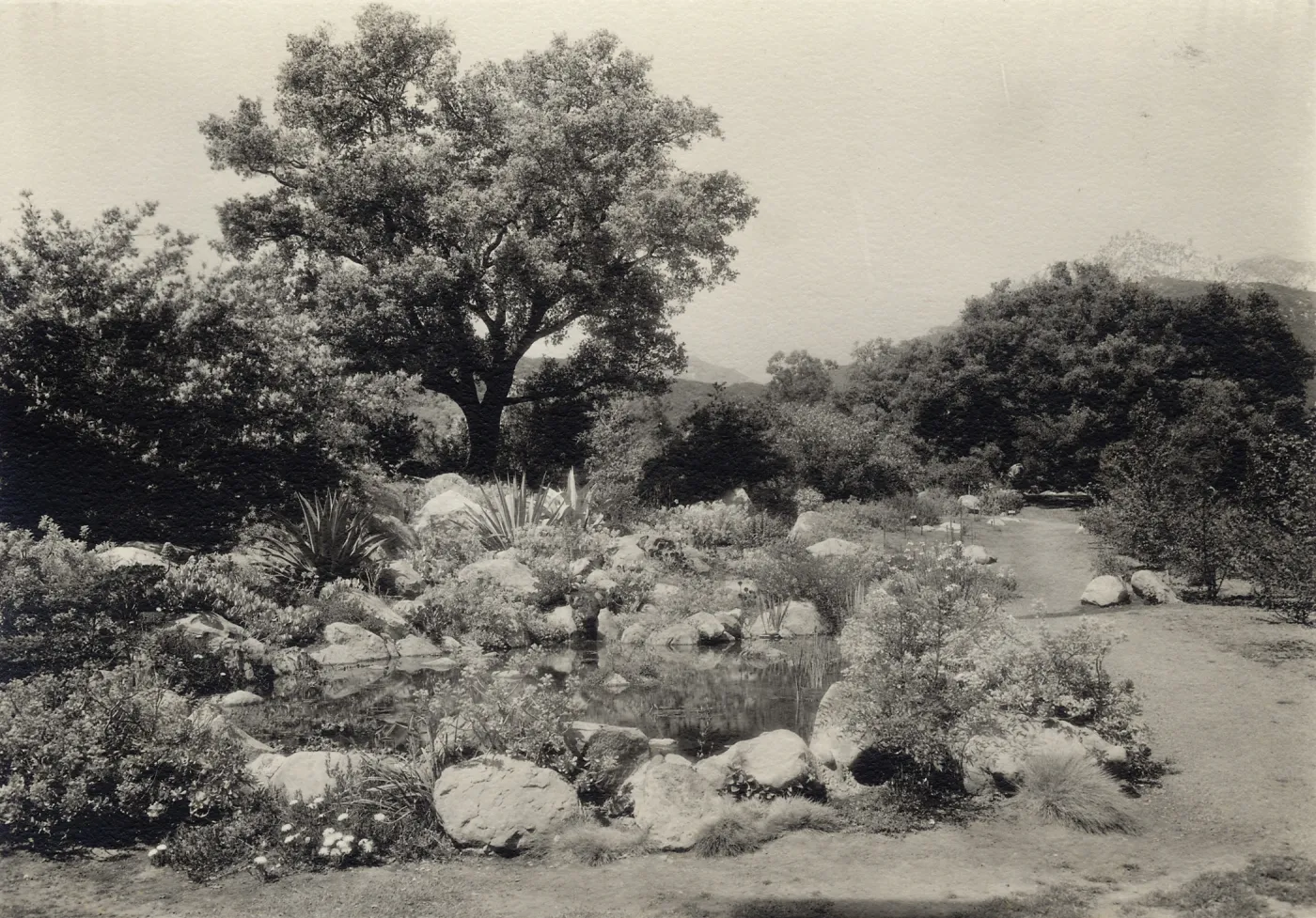 historic pond, near the modern Garden entrance, this pond was built in 1930 to commemorate Mrs. Bissel's birthday'
