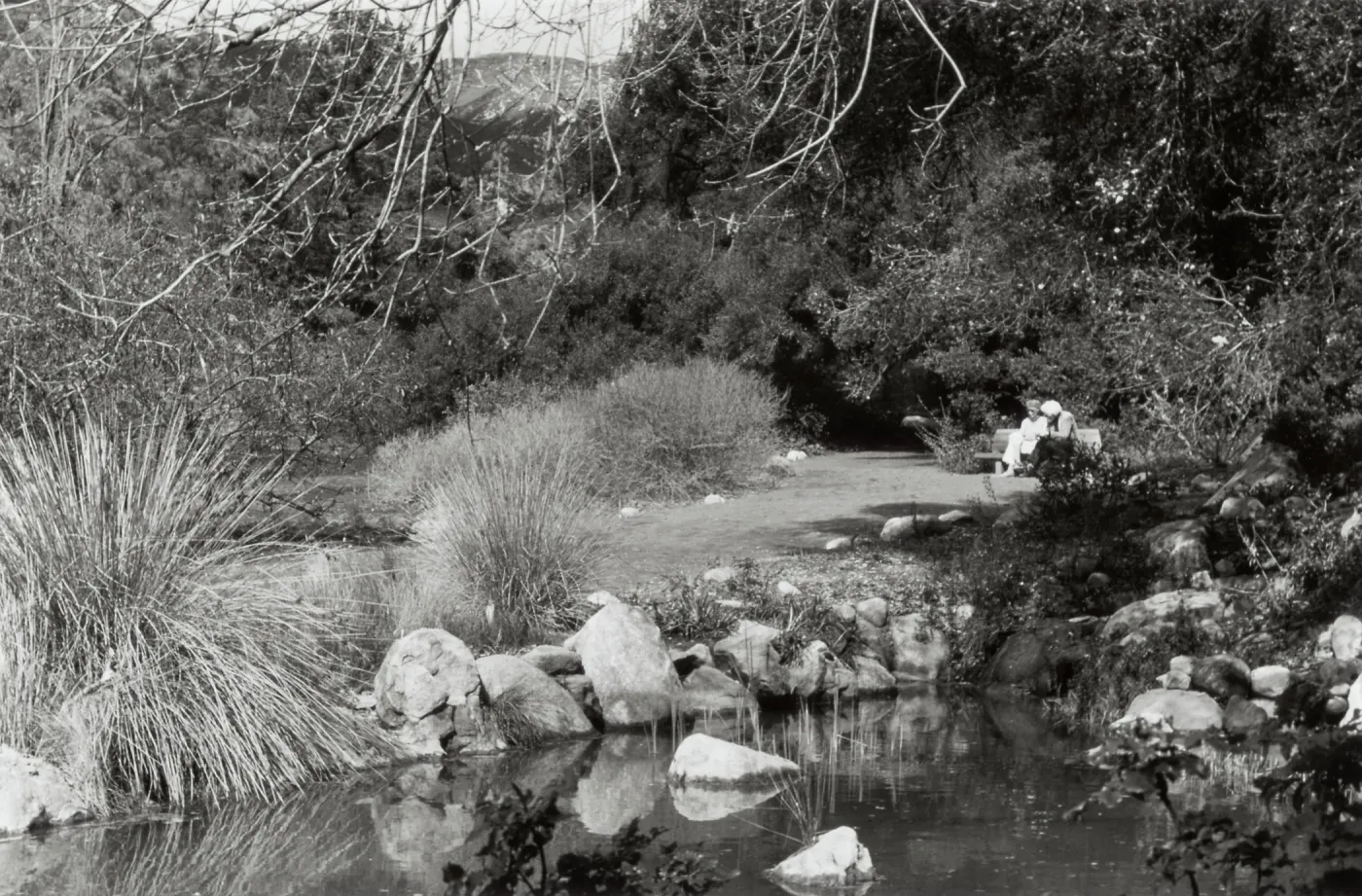 Two women sitting on a wood bench near the pond, SBBG