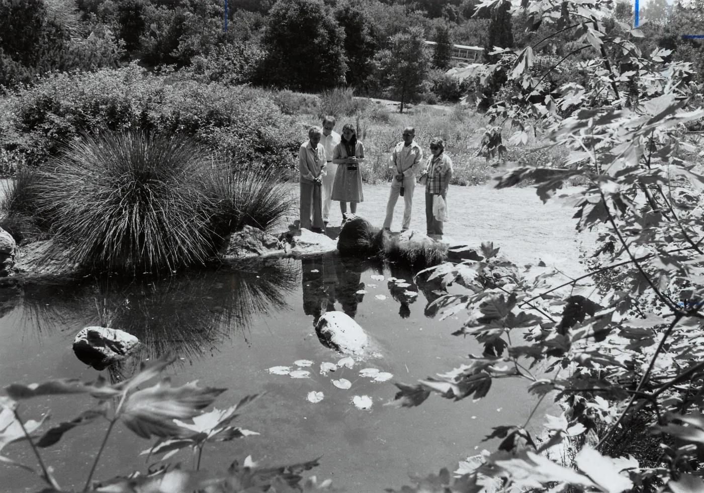 Botanic Garden Docent Dorothea Fox (far left) gives visitors a look at pond life in the summer season