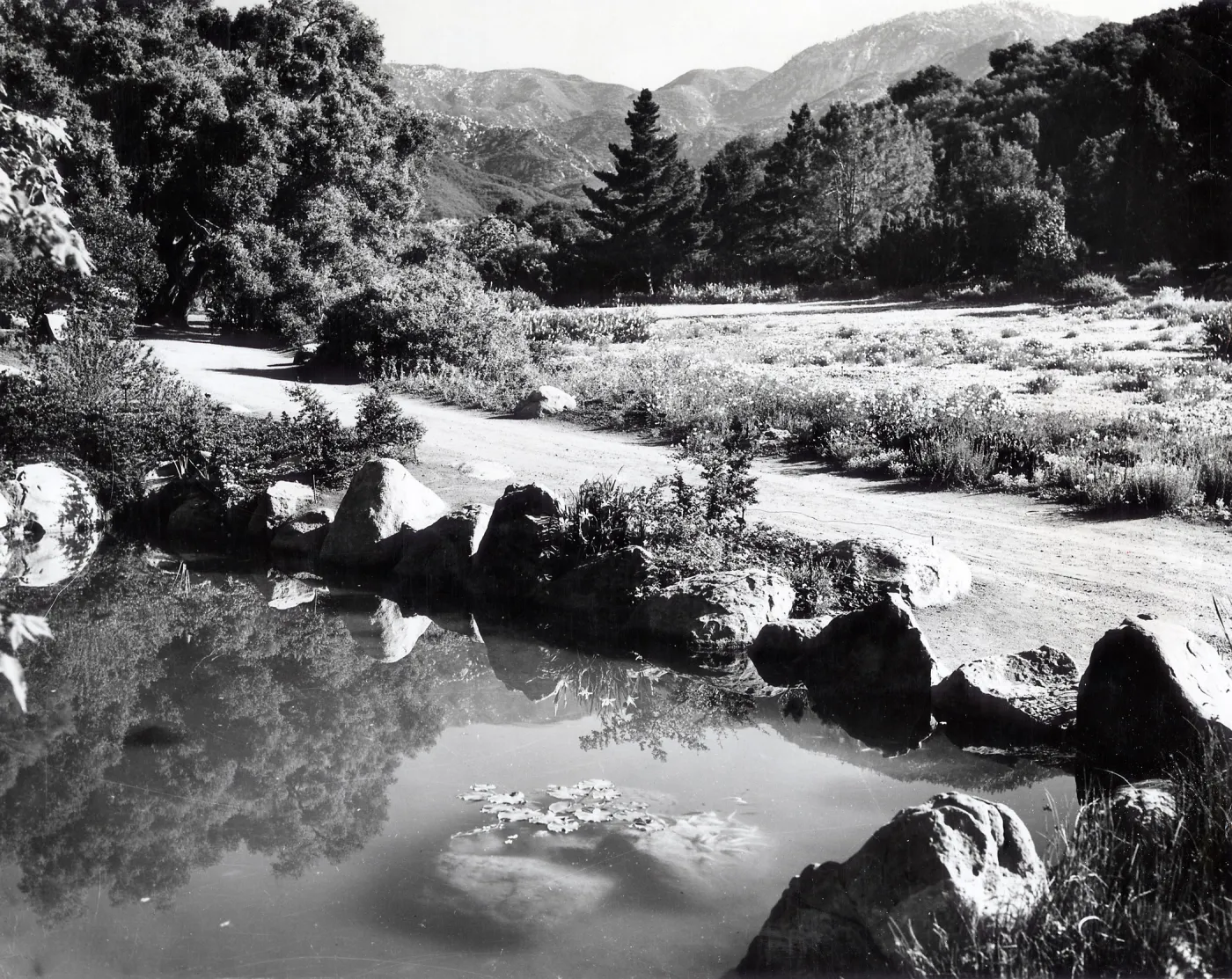Botanic Garden Pond and Meadow