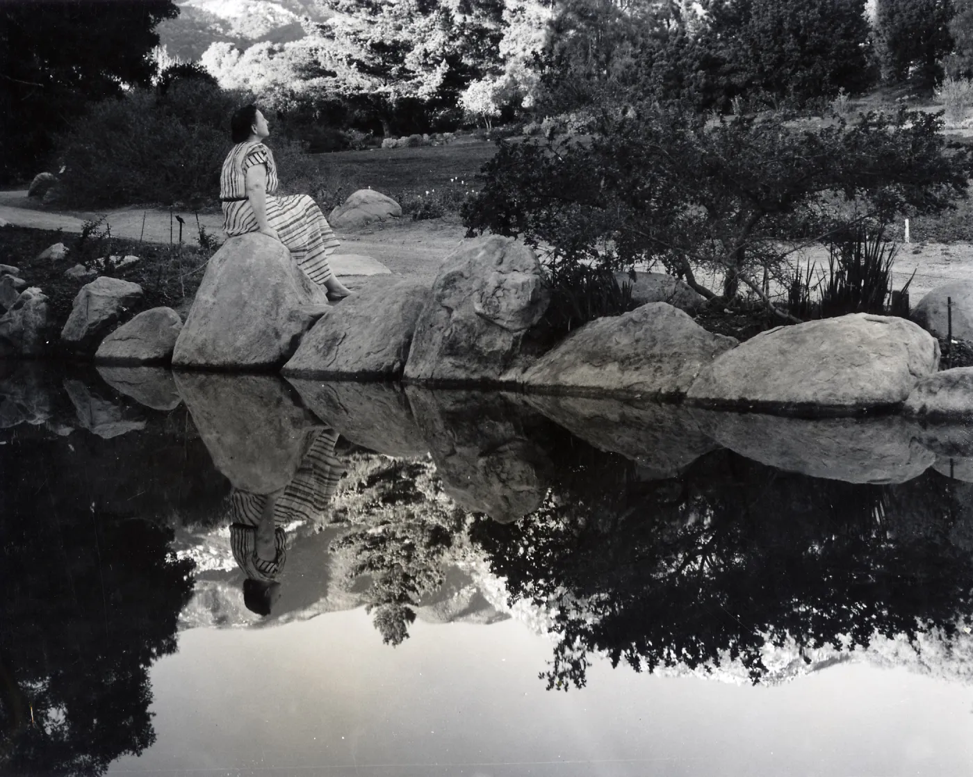 Botanic Garden pond