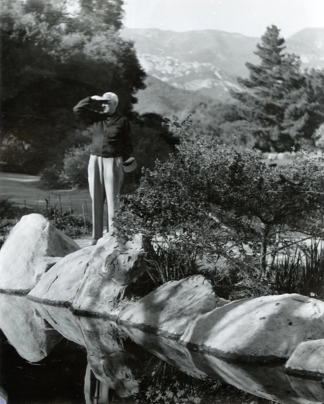 Botanic Garden pond and mountain view