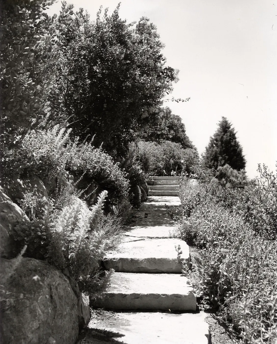 steps to Porter Trail from Mission Canyon Road