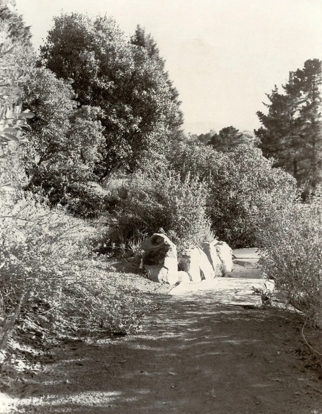 Porter Trail