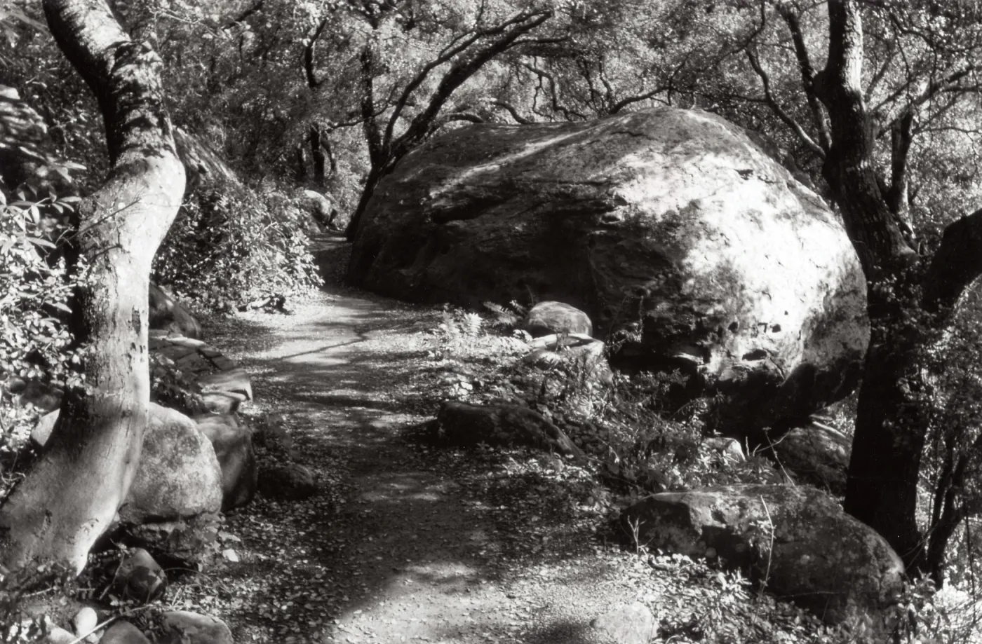 large boulder along the Pritchett Trail