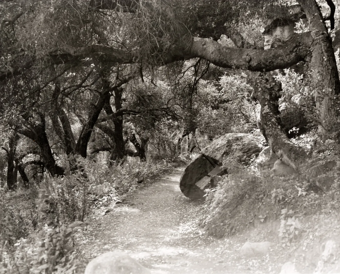 Southerly approach to Pritchett Trail, 1948