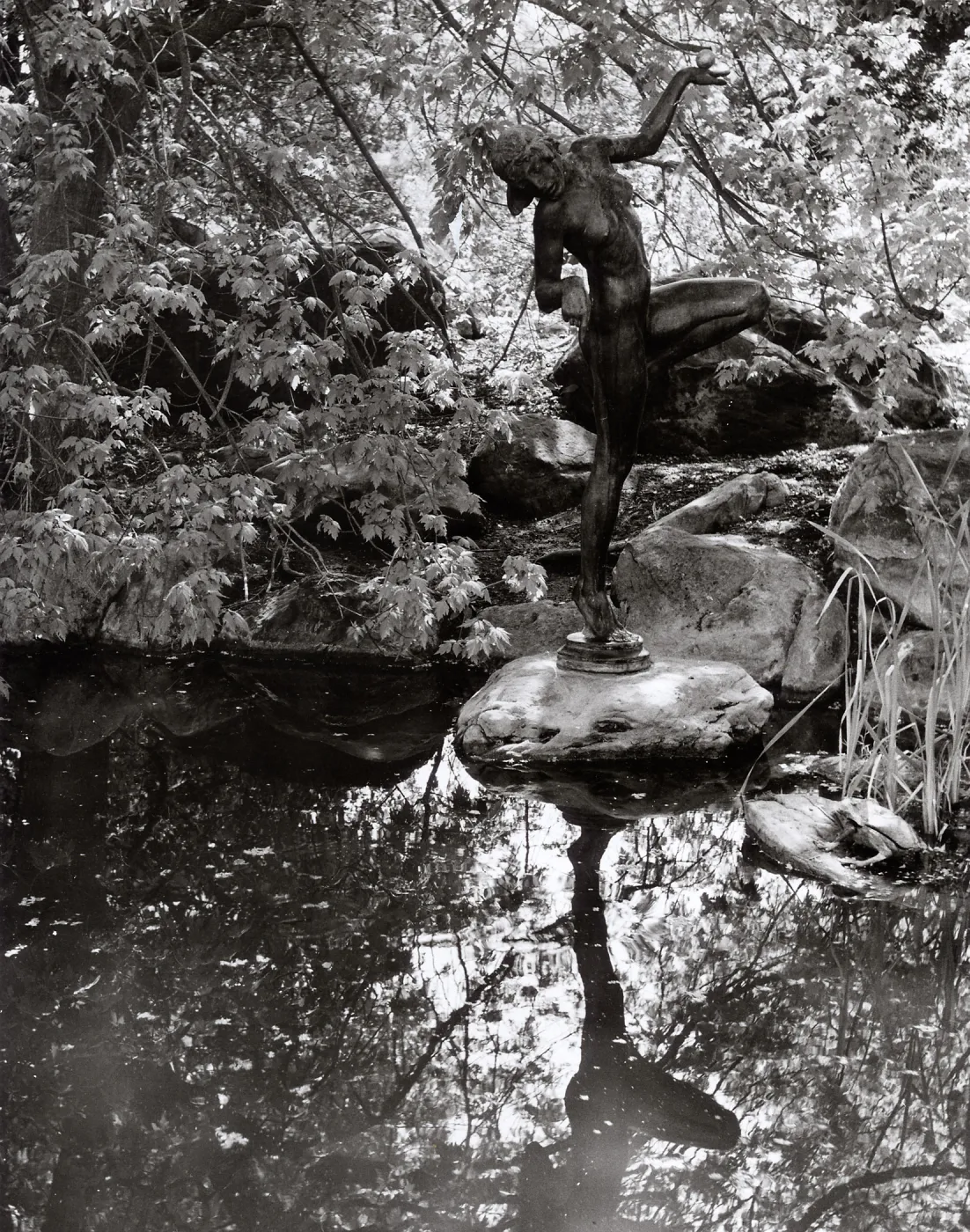 Frog Princess Statue, SBBG