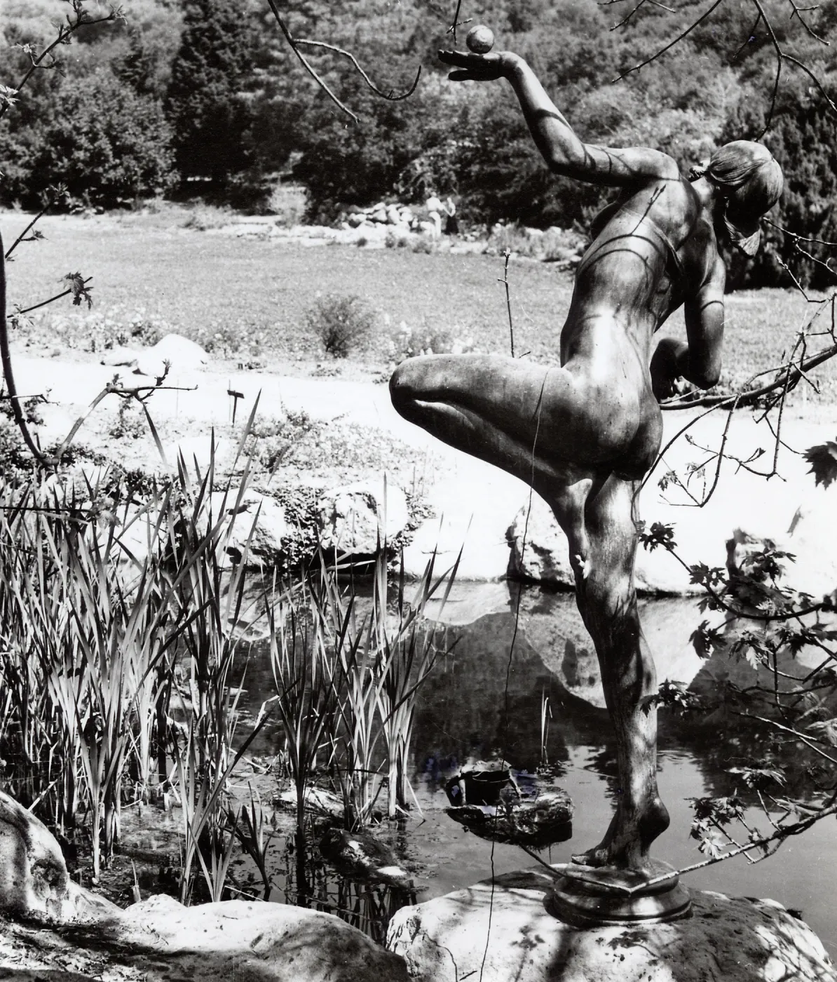 Frog Princess Statue, SBBG