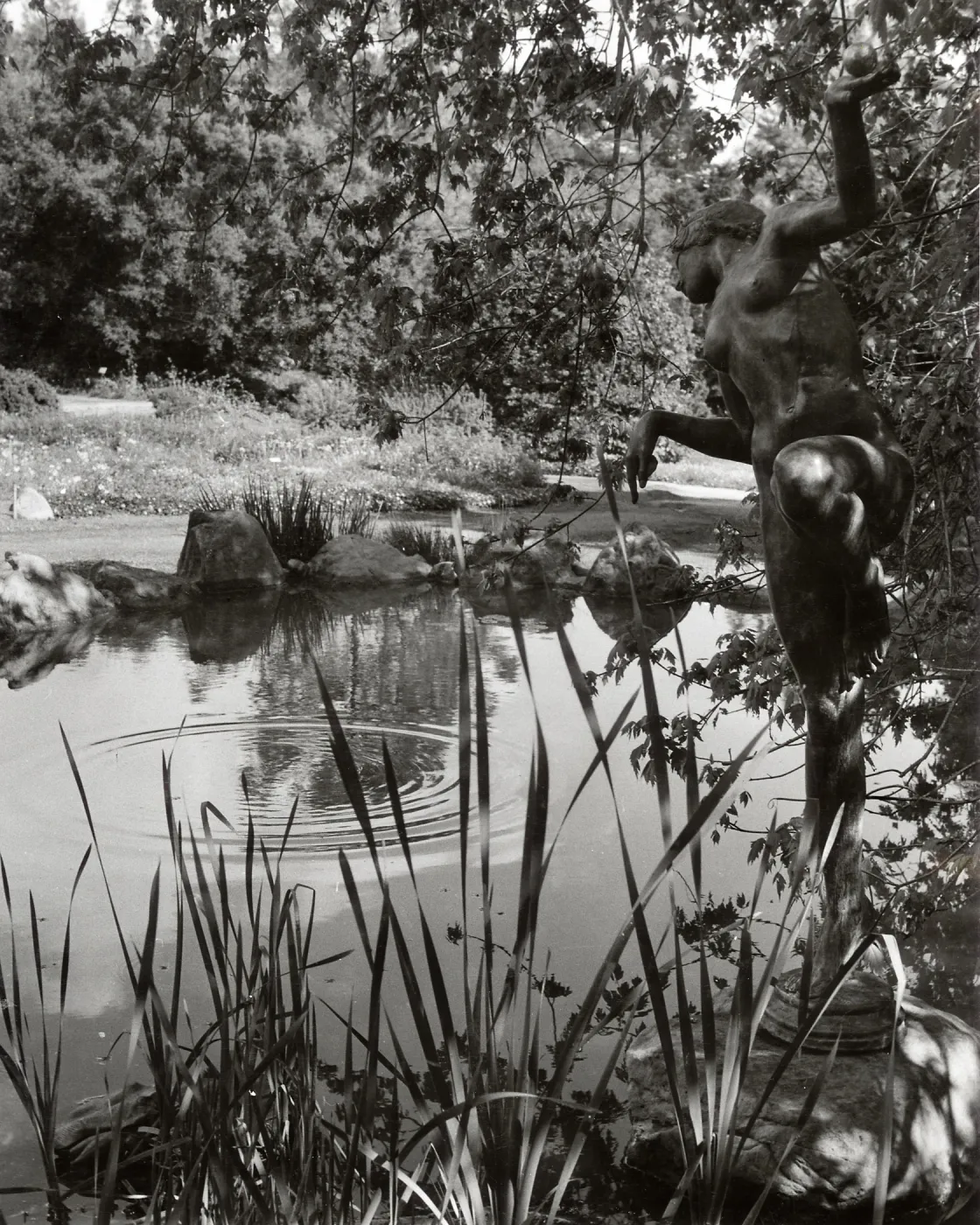 Frog Princess Statue, SBBG