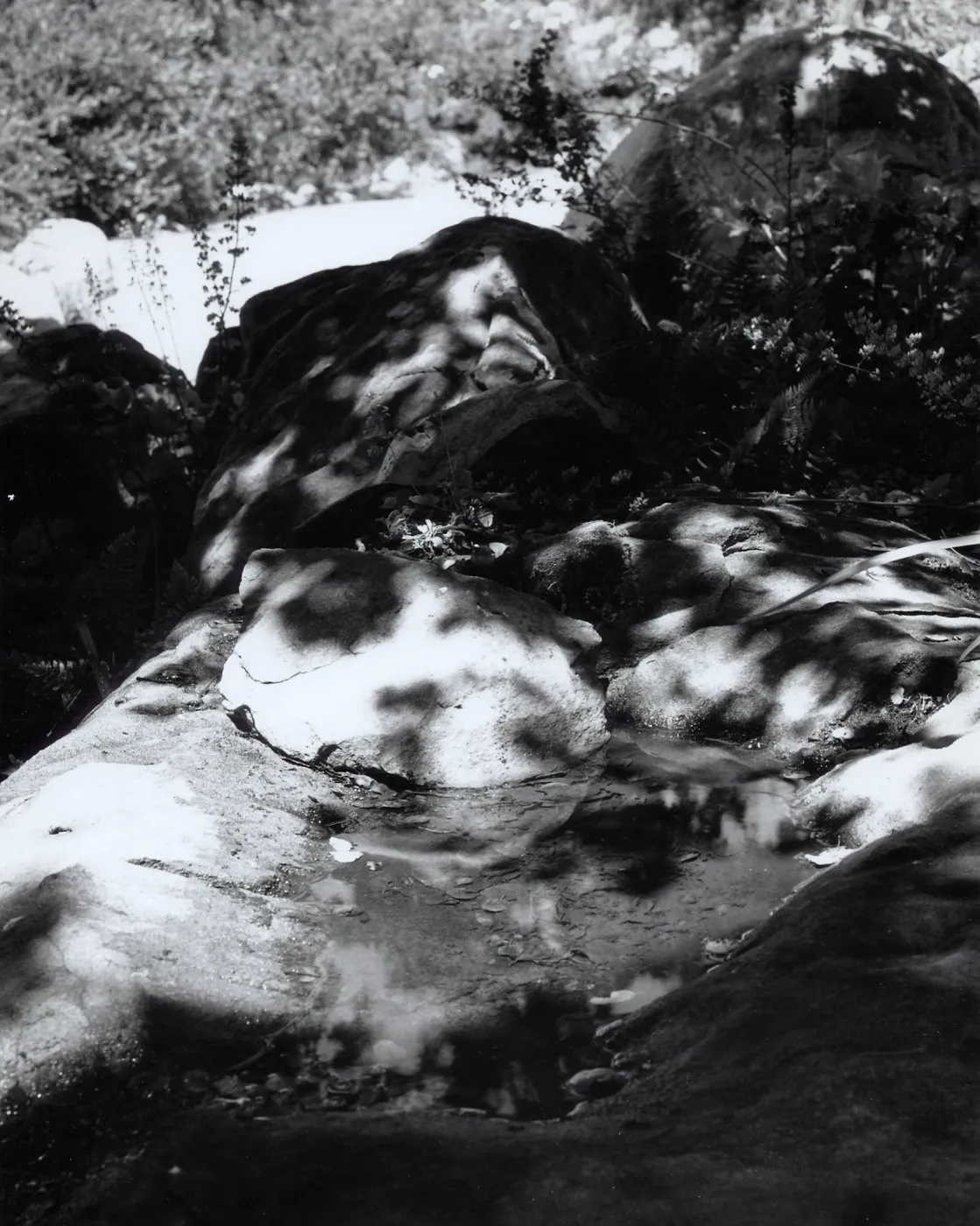 Pool of water on boulder