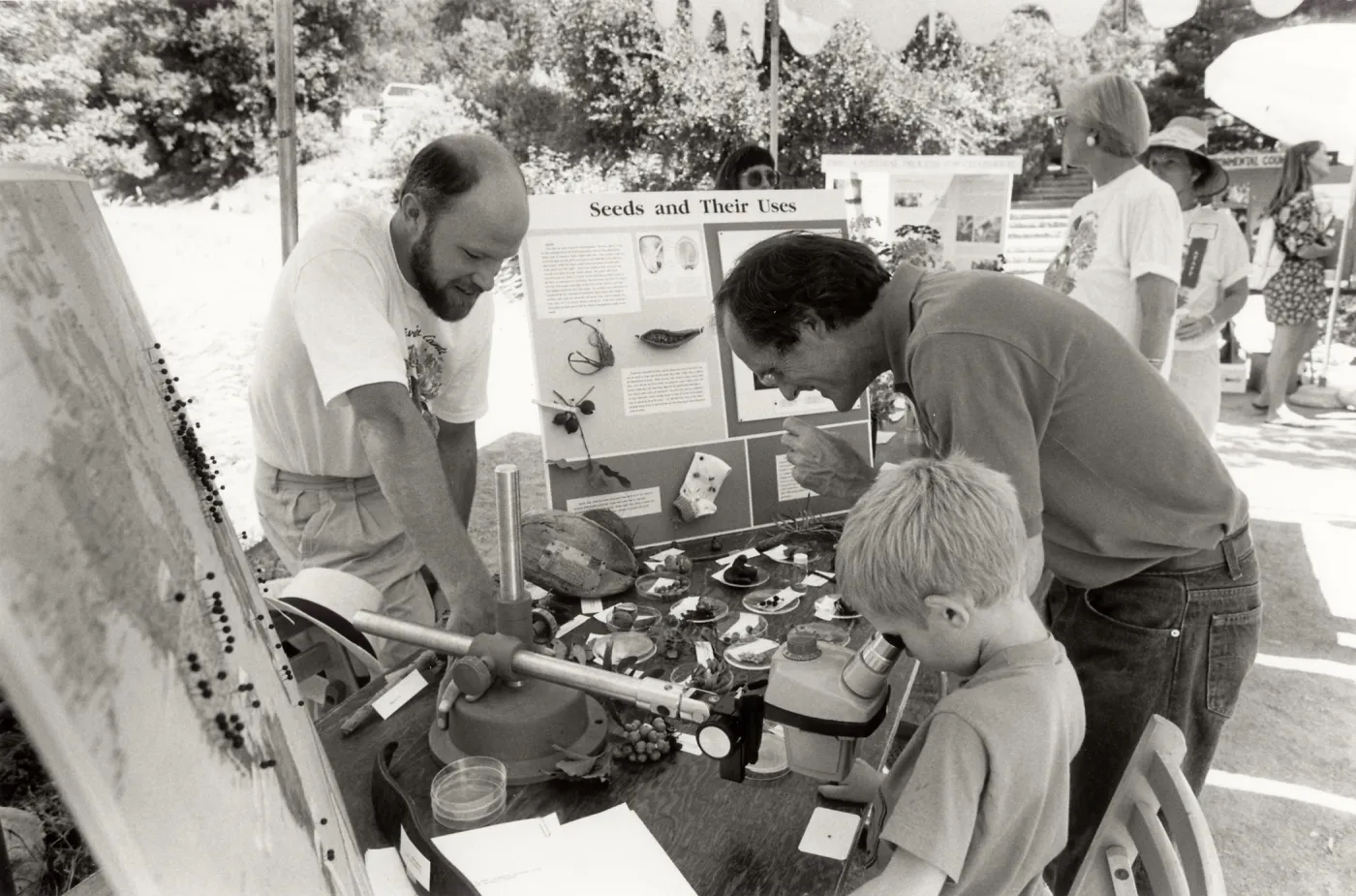 Family Festival, SBBG. Educational display 'Seeds and their uses' Young boy looking through a microscope.