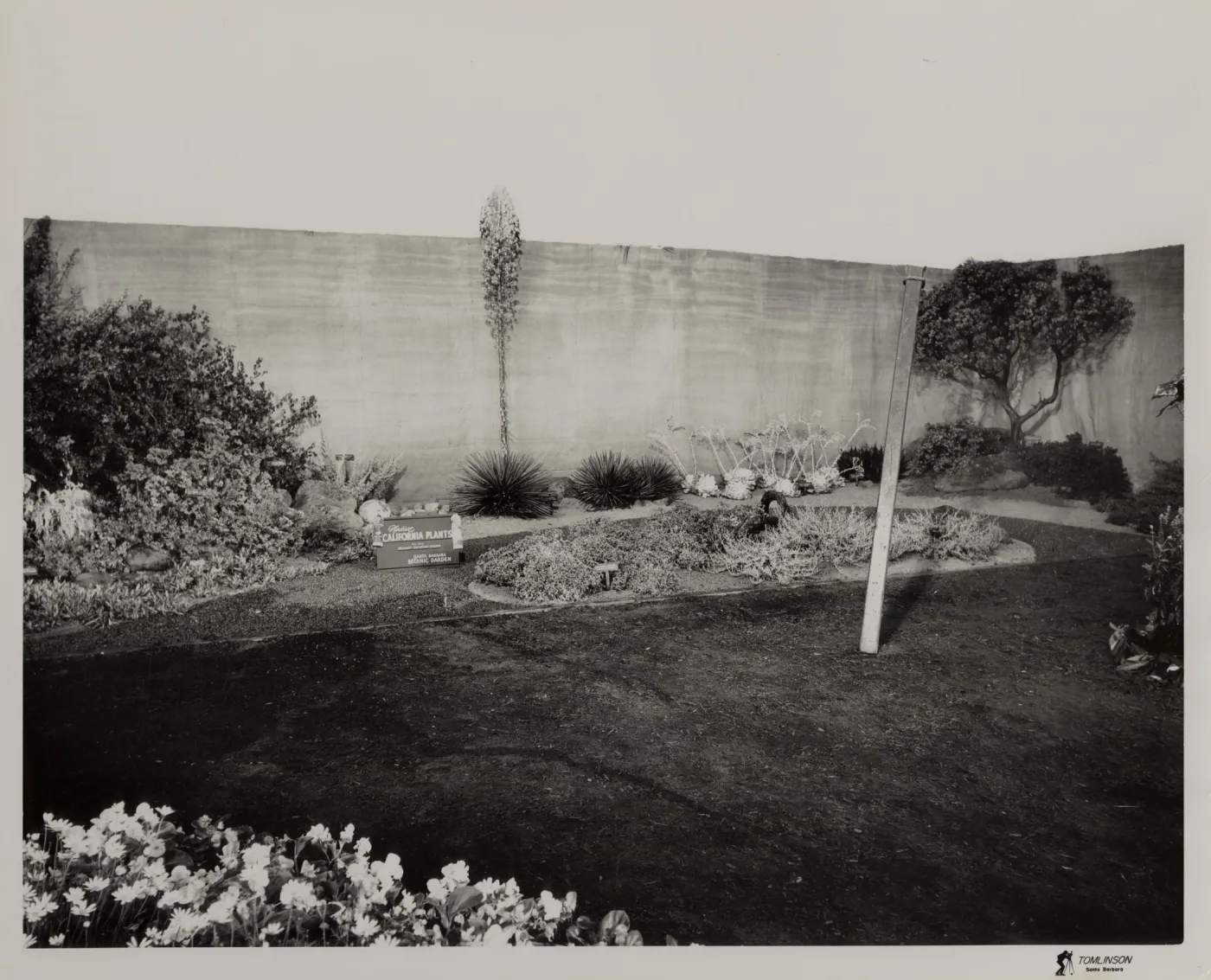 Exhibit: Native California plants for the drought-resistant garden, Earl Warren Show Grounds Flower Show