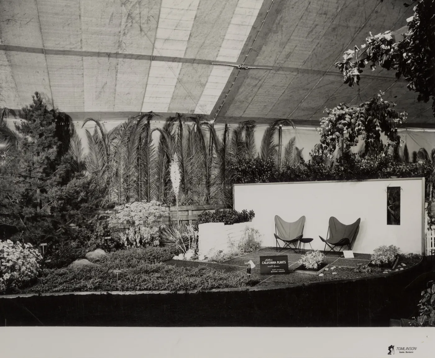 Exhibit: Native California plants in a home garden, Flower Show at Earl Warren Show Grounds