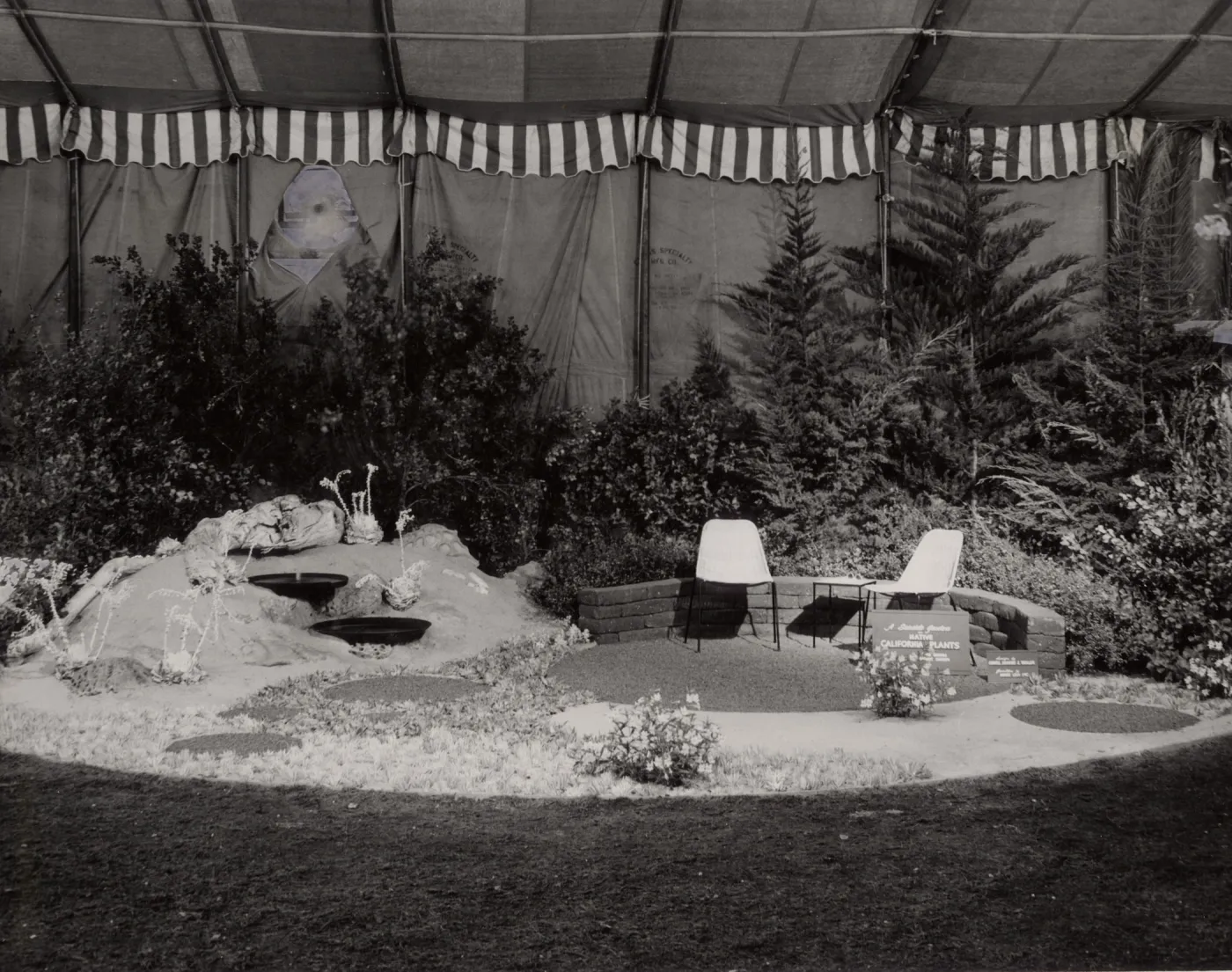 Exhibit 'A seaside garden of native California plants'. Flower Shows at Earl Warren Show Grounds
