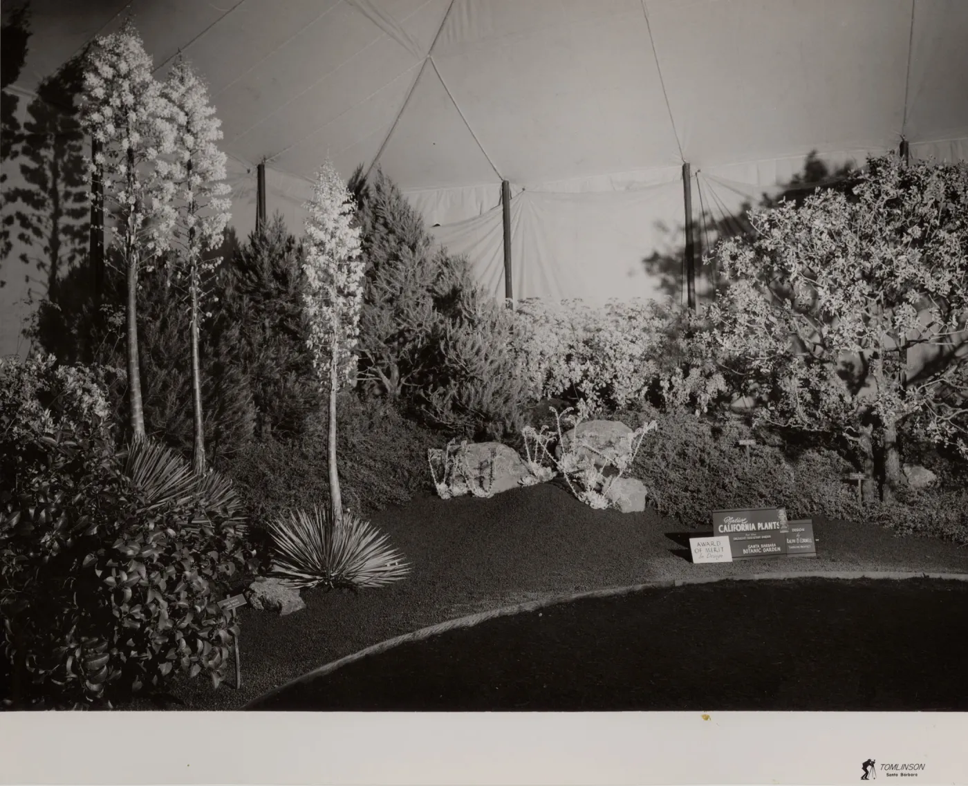 Exhibit 'Native California plants for the drought-resistant garden', designed by Ralph D. Cornell, Landscape Architect