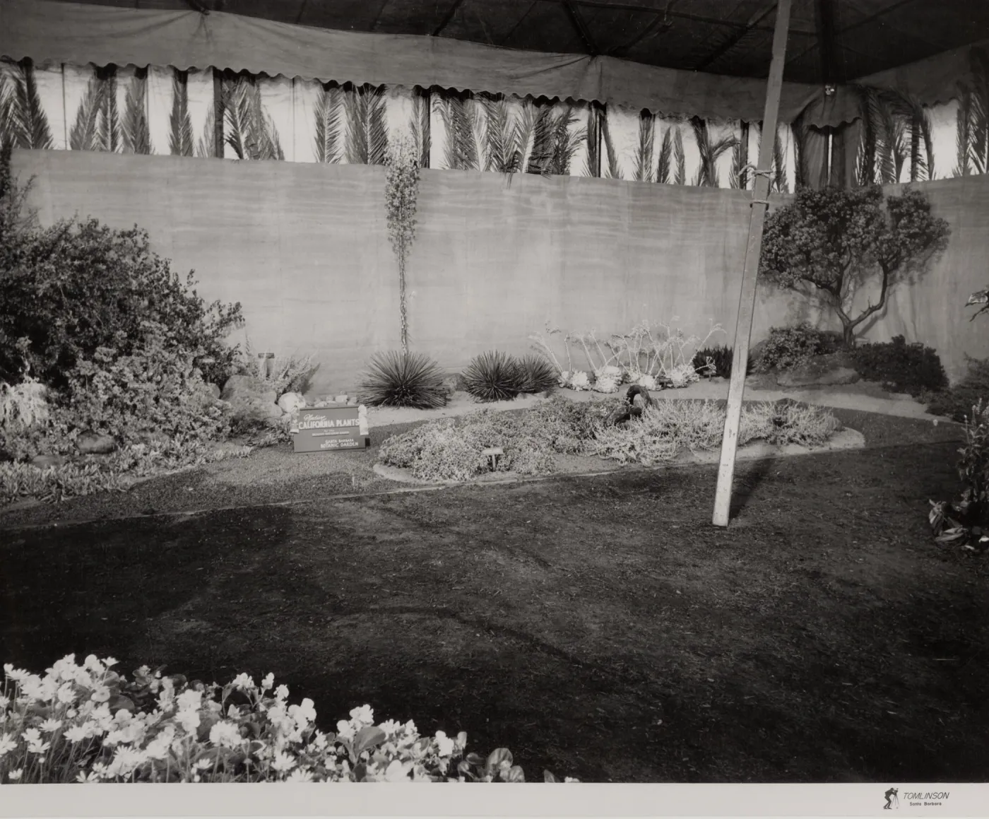 Exhibit ' Native California plants for the drought-resistant garden'. Flower Shows at Earl Warren Show Grounds