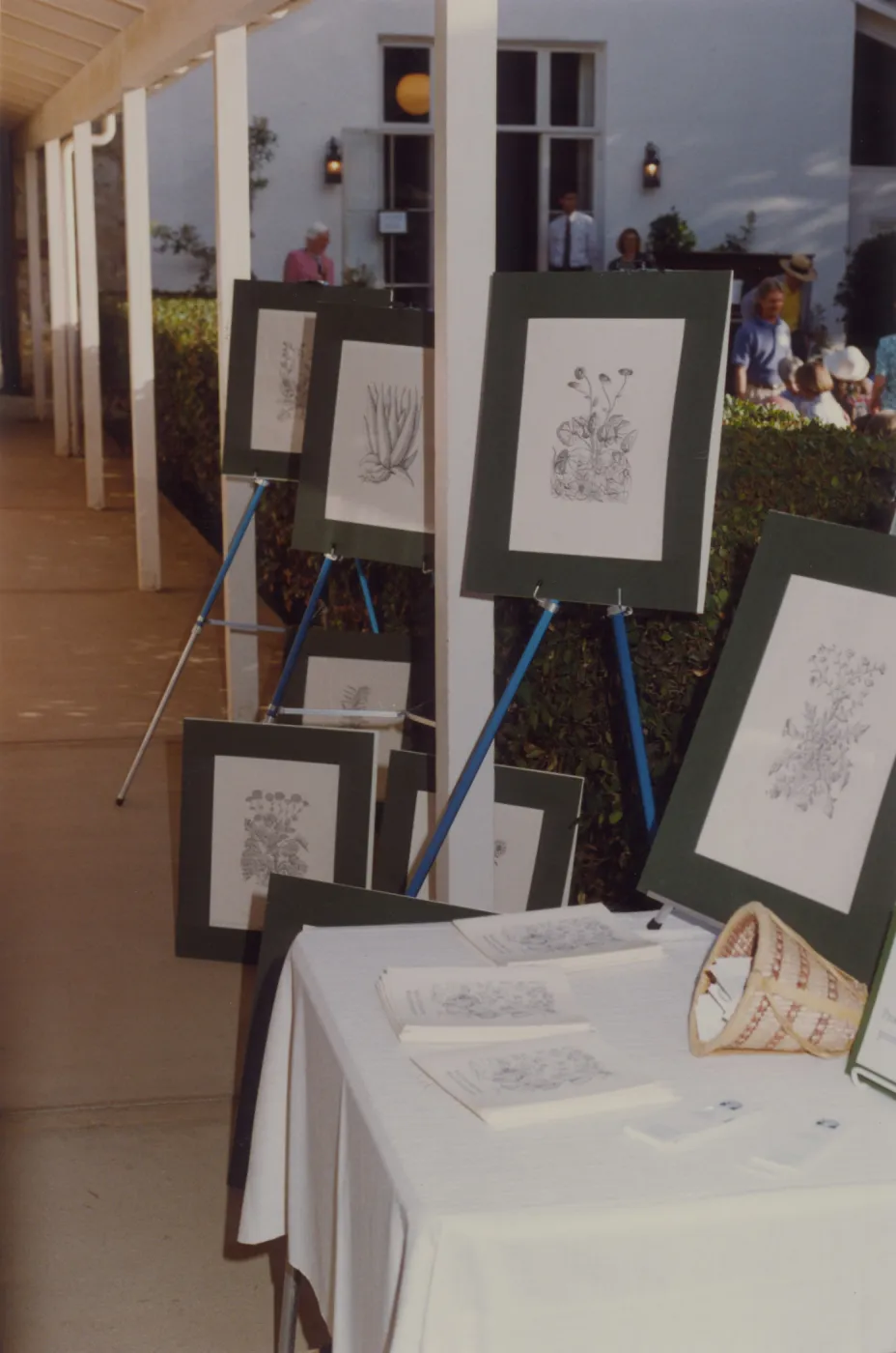 Botanical Illustration display, Blaksley Library's 50th Anniversary Celebration