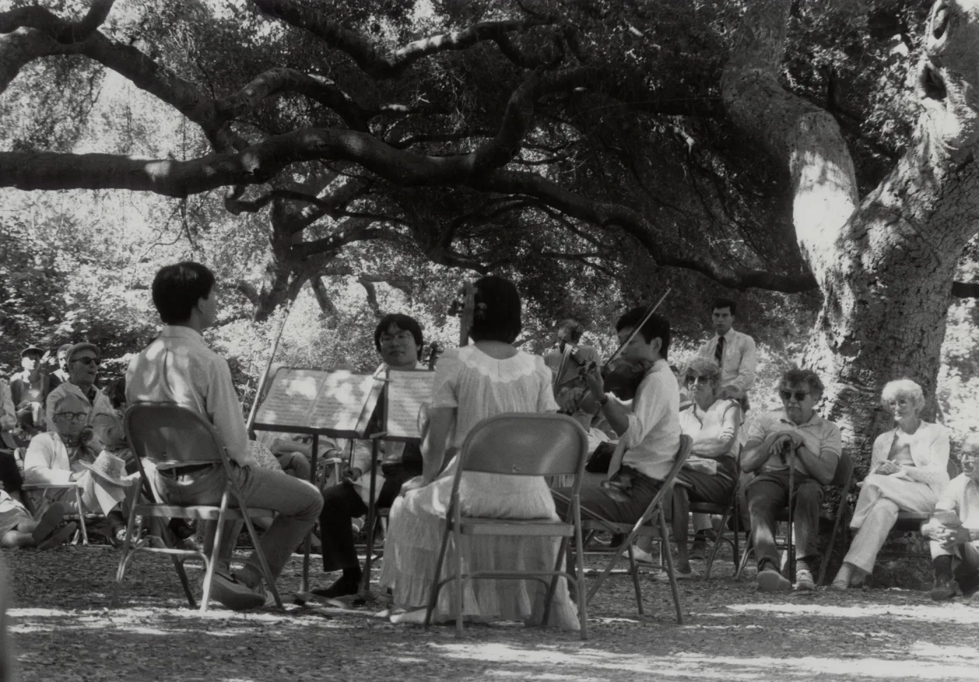 Music Academy of the West, Concert Under the Oaks