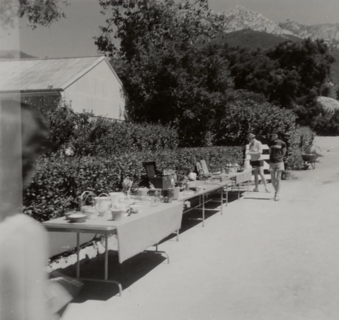 Sale of Garden Related Items, 1979