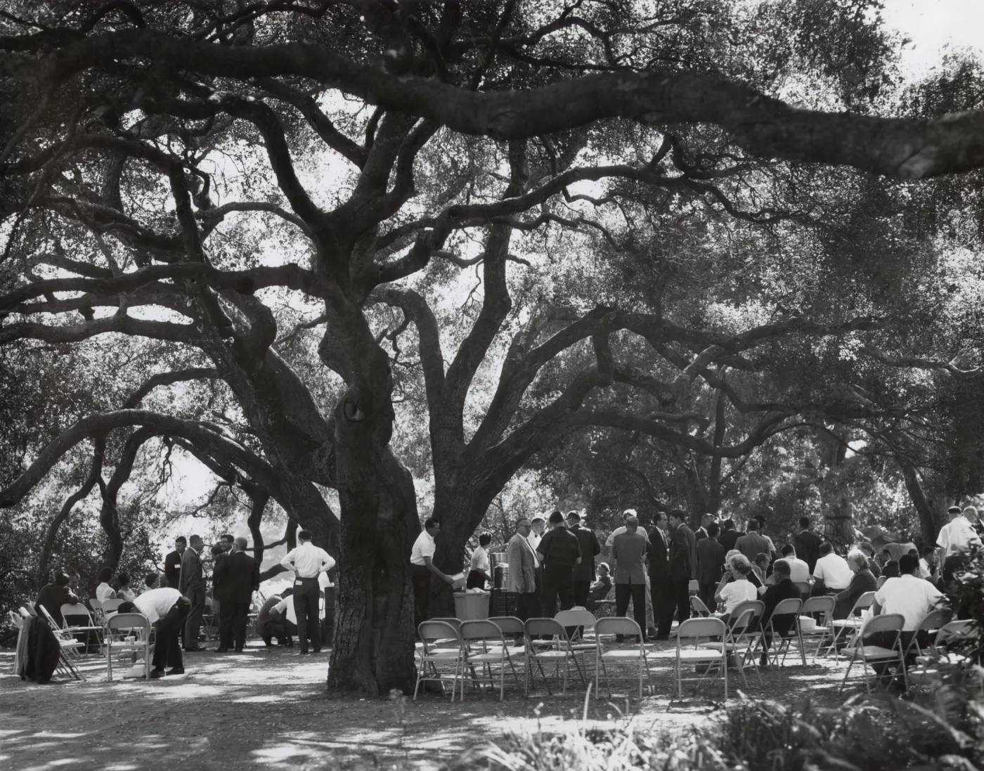 event under the oaks, SBBG