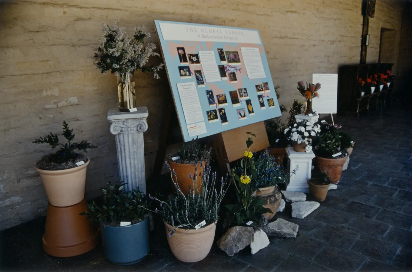 Garden Club Show Exhibit :The Global Garden: a Mediterranean Perspective