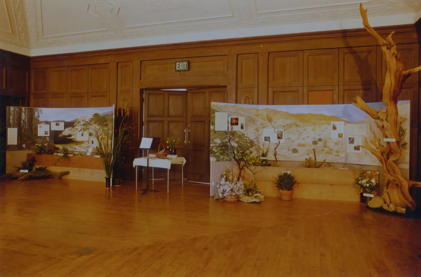 Exhibit: Treasures of the Flora
