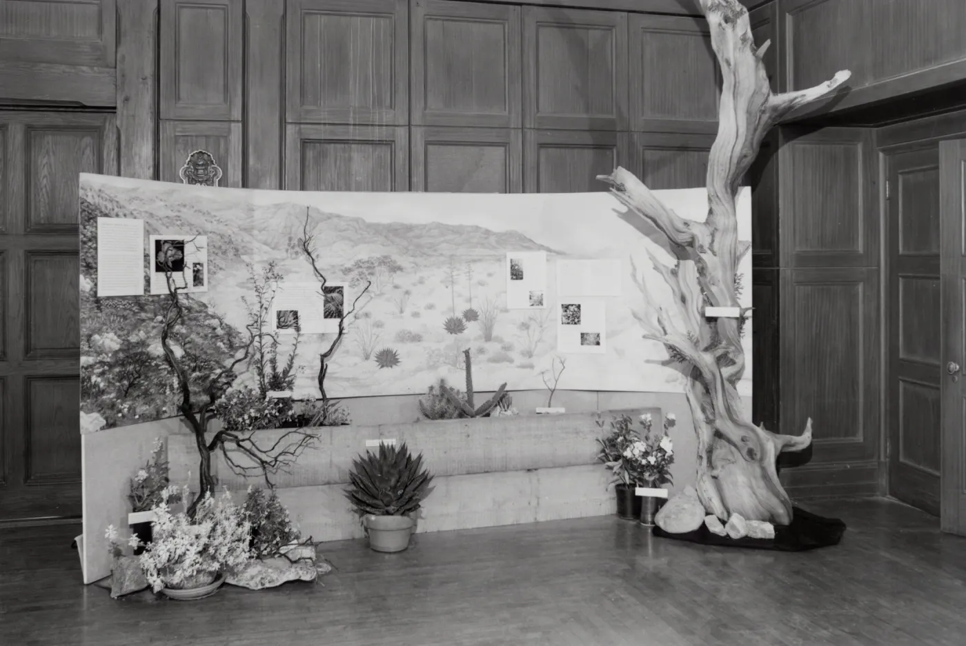Exhibit: Treasures of the Flora