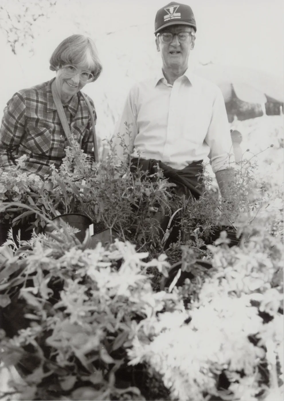 Fall Plant Sale 1990