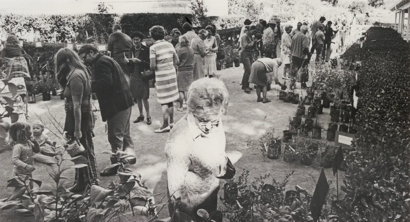 Plant Sale