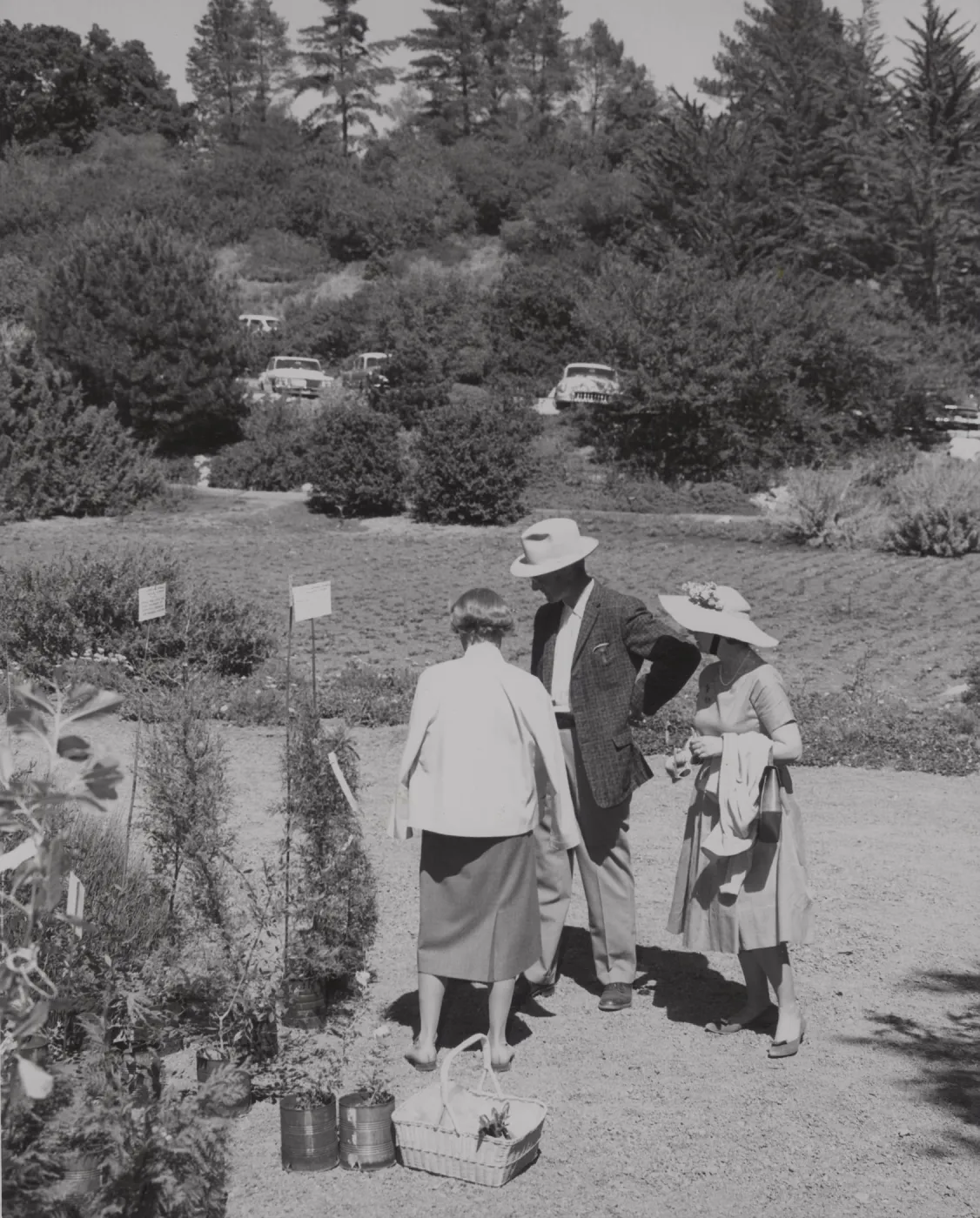 The Annual Plant Sale, 1961