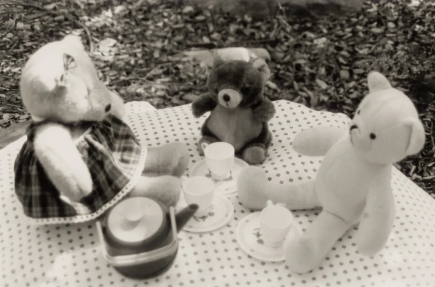 Teddy Bears' Tea-Time Picnic