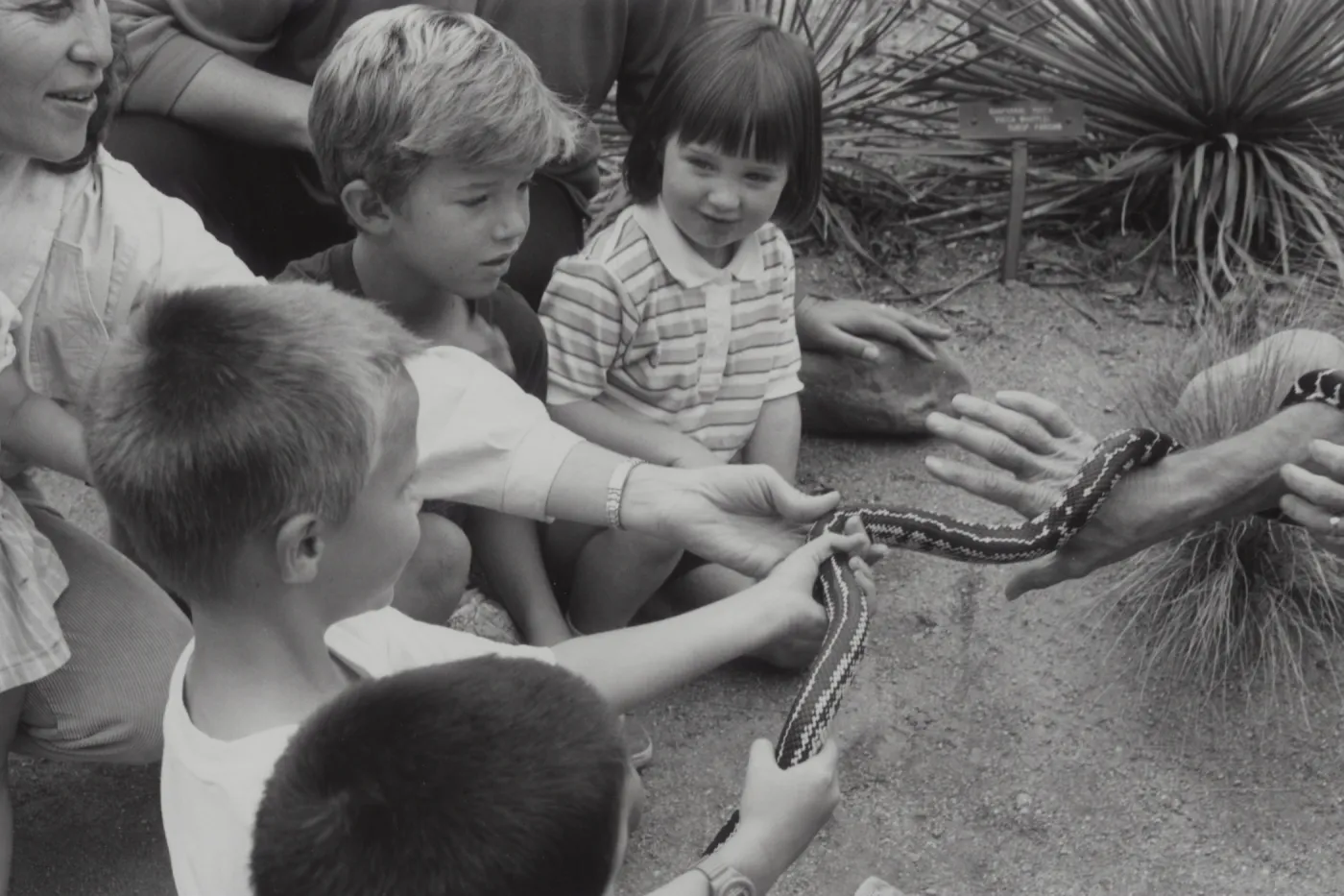 snake demonstration at SBBG