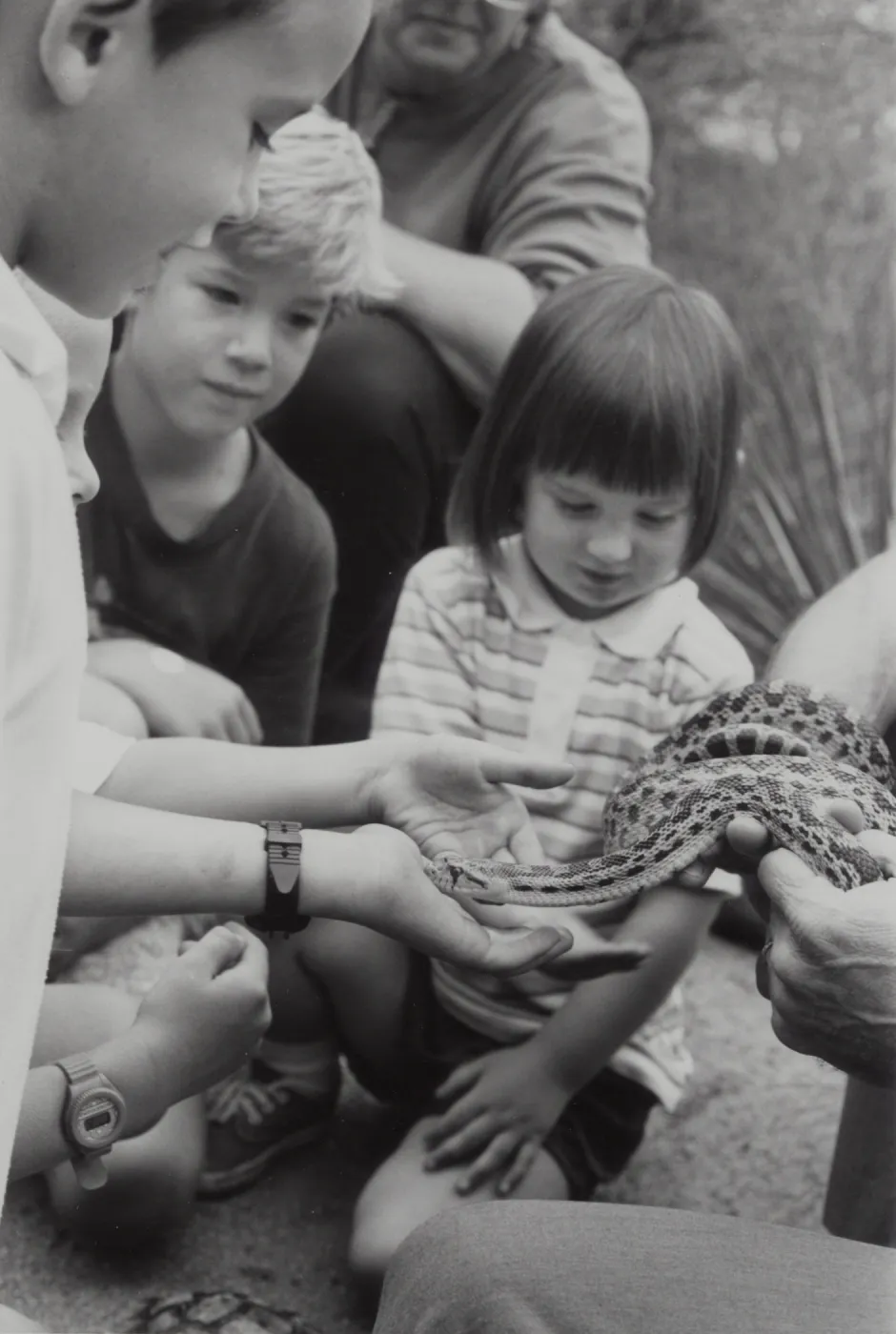 snake demonstration at SBBG