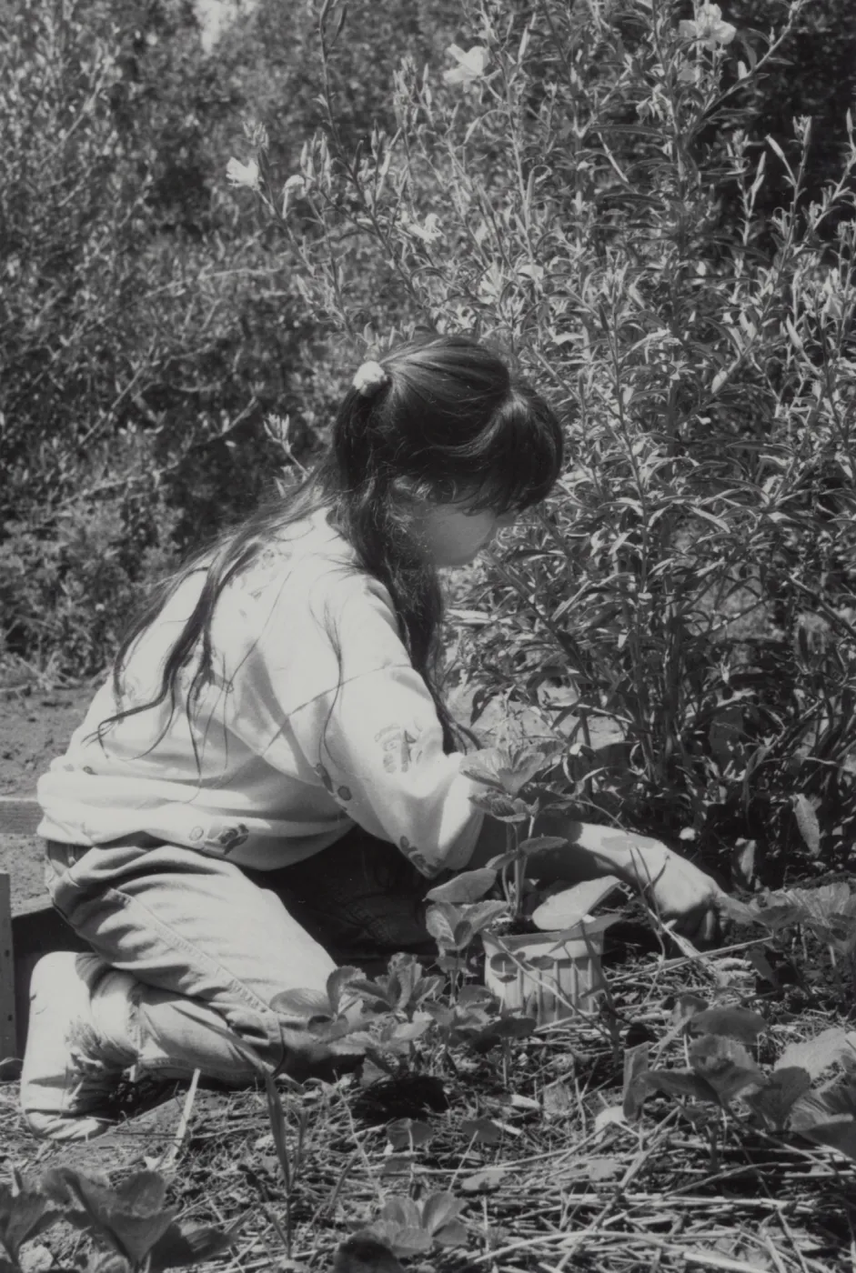 Children's Garden, Children Gardening