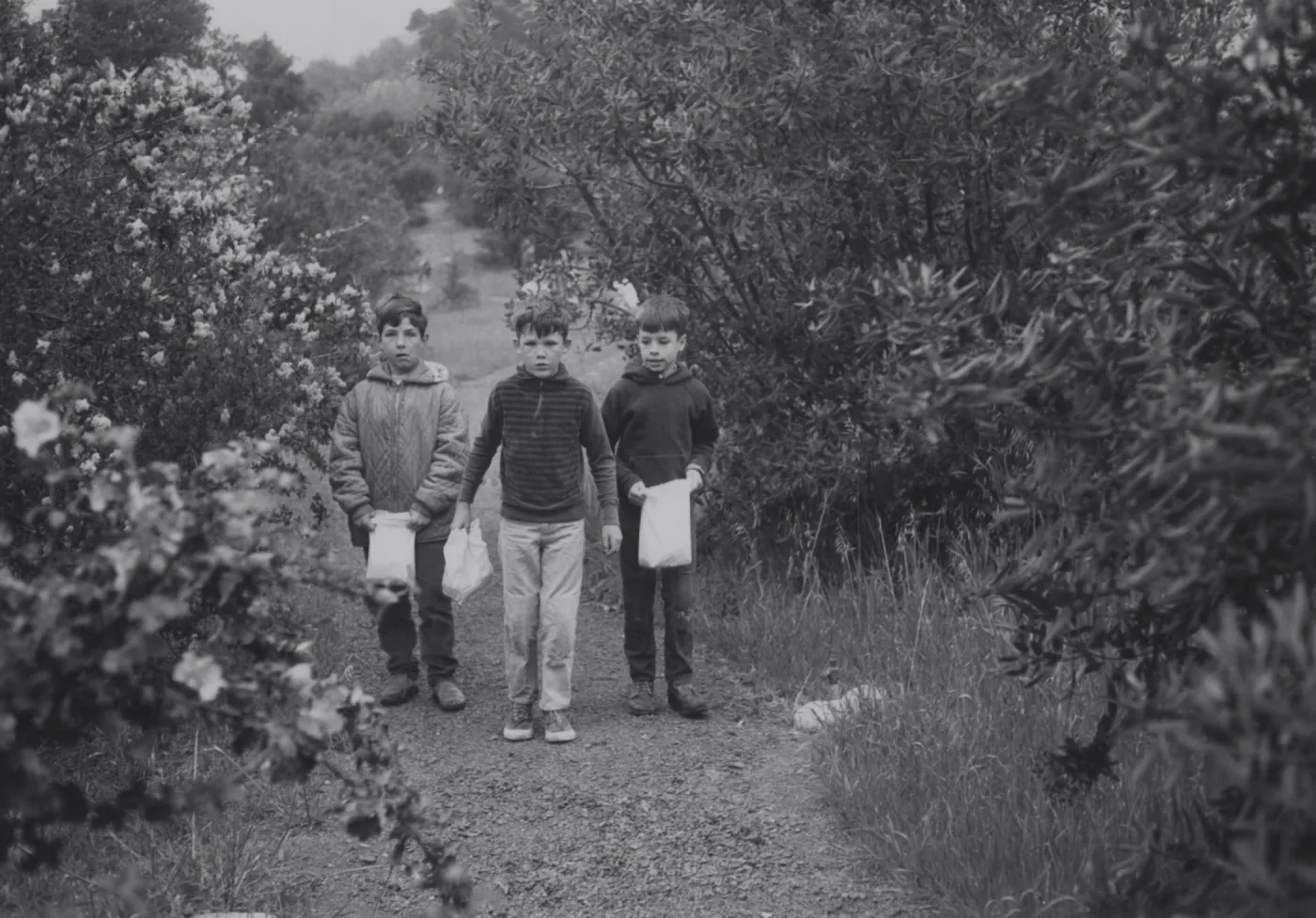 Junior Member's Easter Egg Hunt 1969