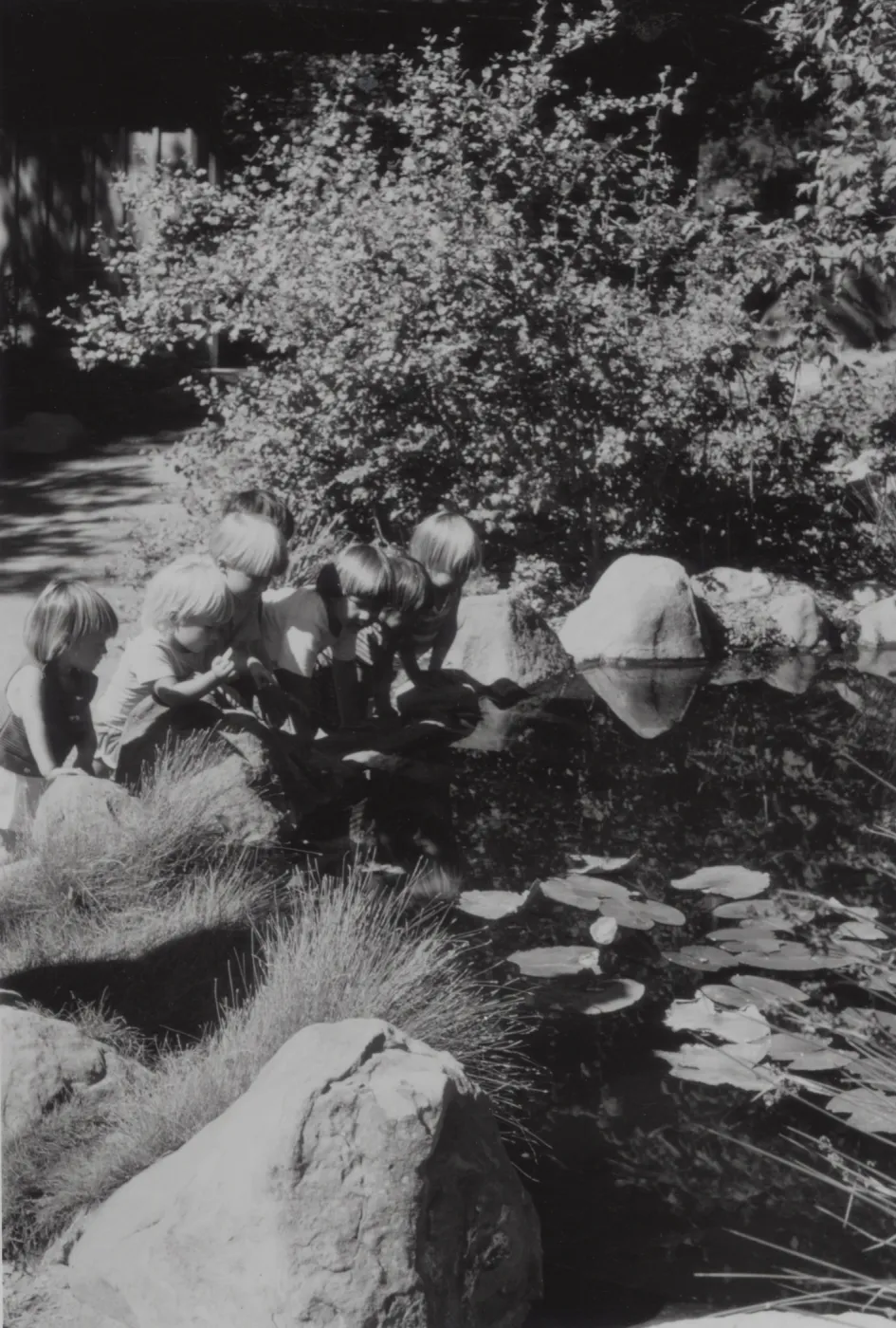 Children in the Garden, Pond