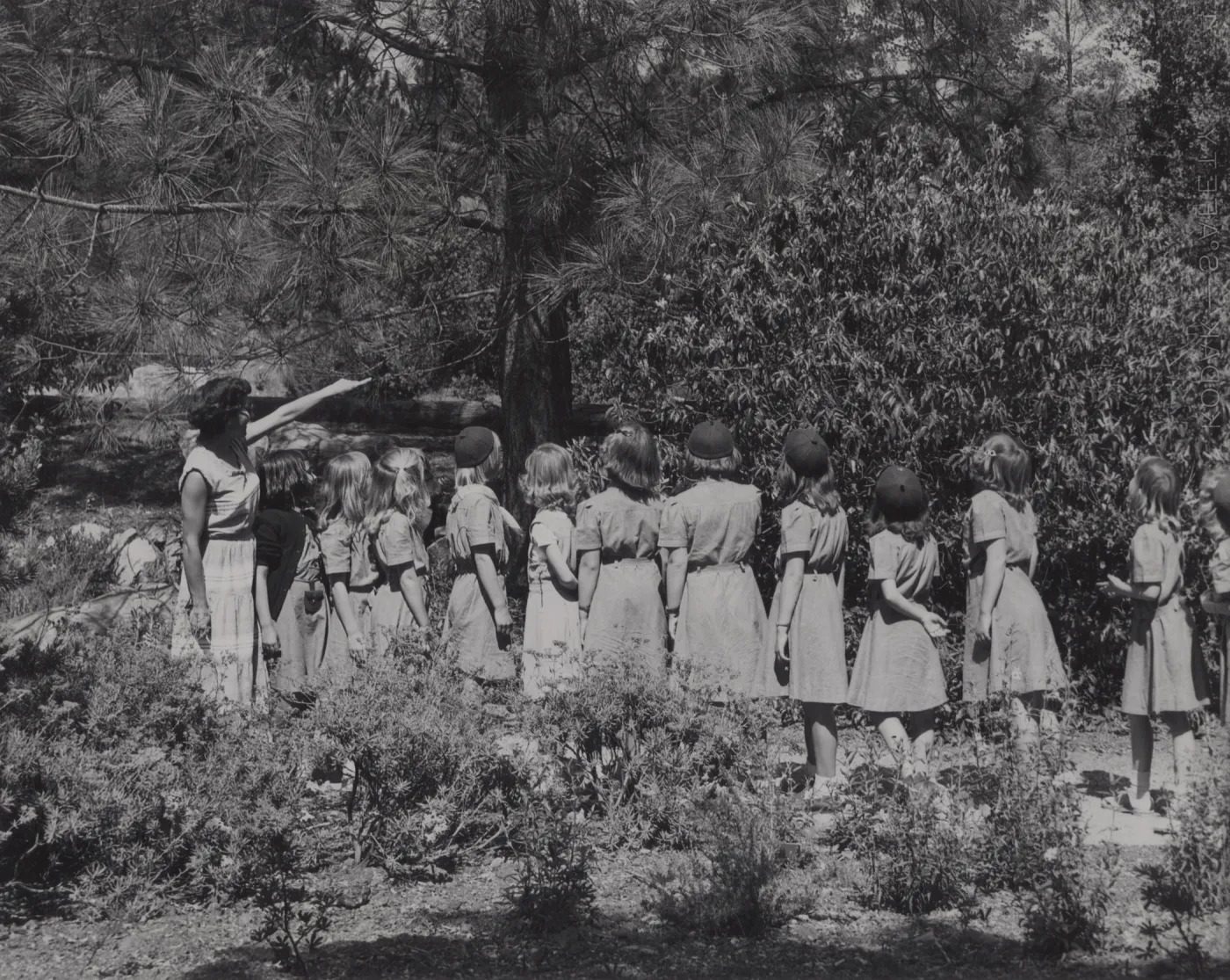 Children in the Garden, Girl Scouts