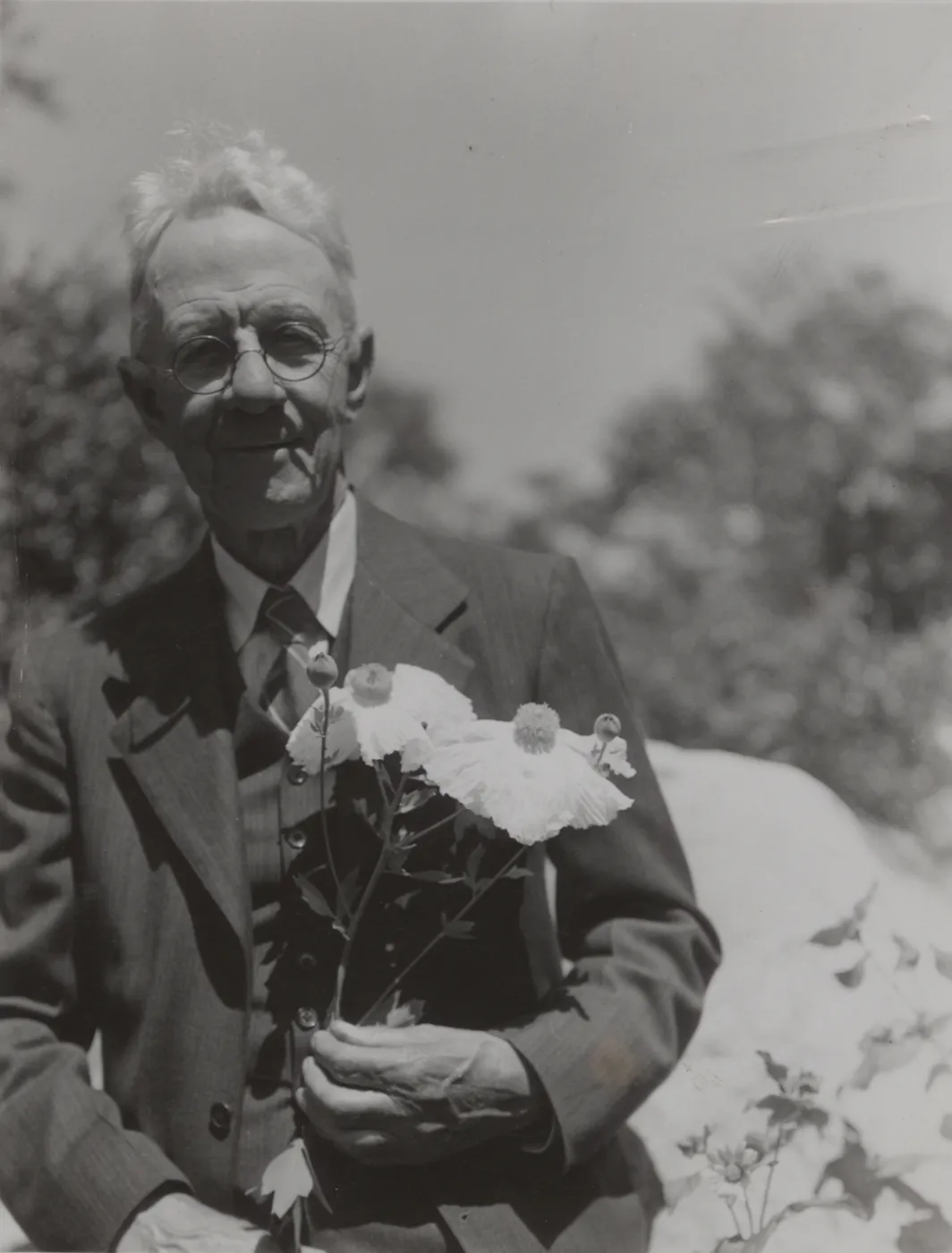 Theodore Payne