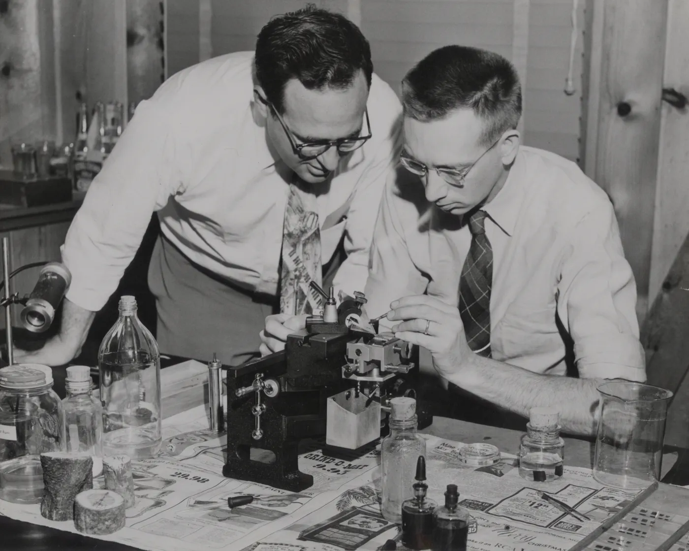 Richard Beeks and Dr M.F. Moseley use a microscope to cut Garrya wood