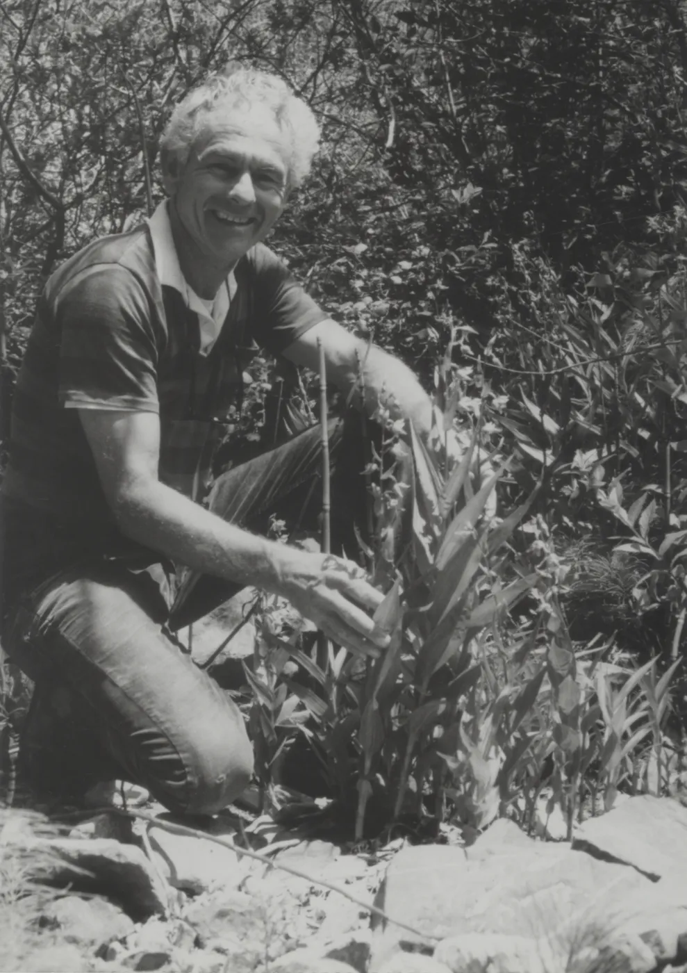 Paul Gripp, orchidist