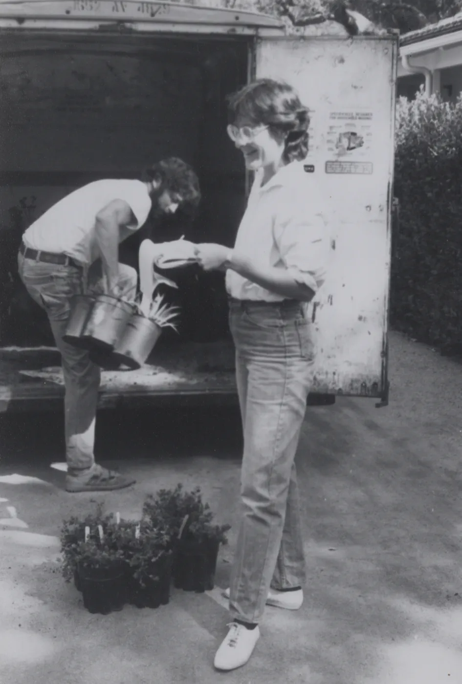 Plant Propagator Carol Bornstein prepares for plant sale, October 1984