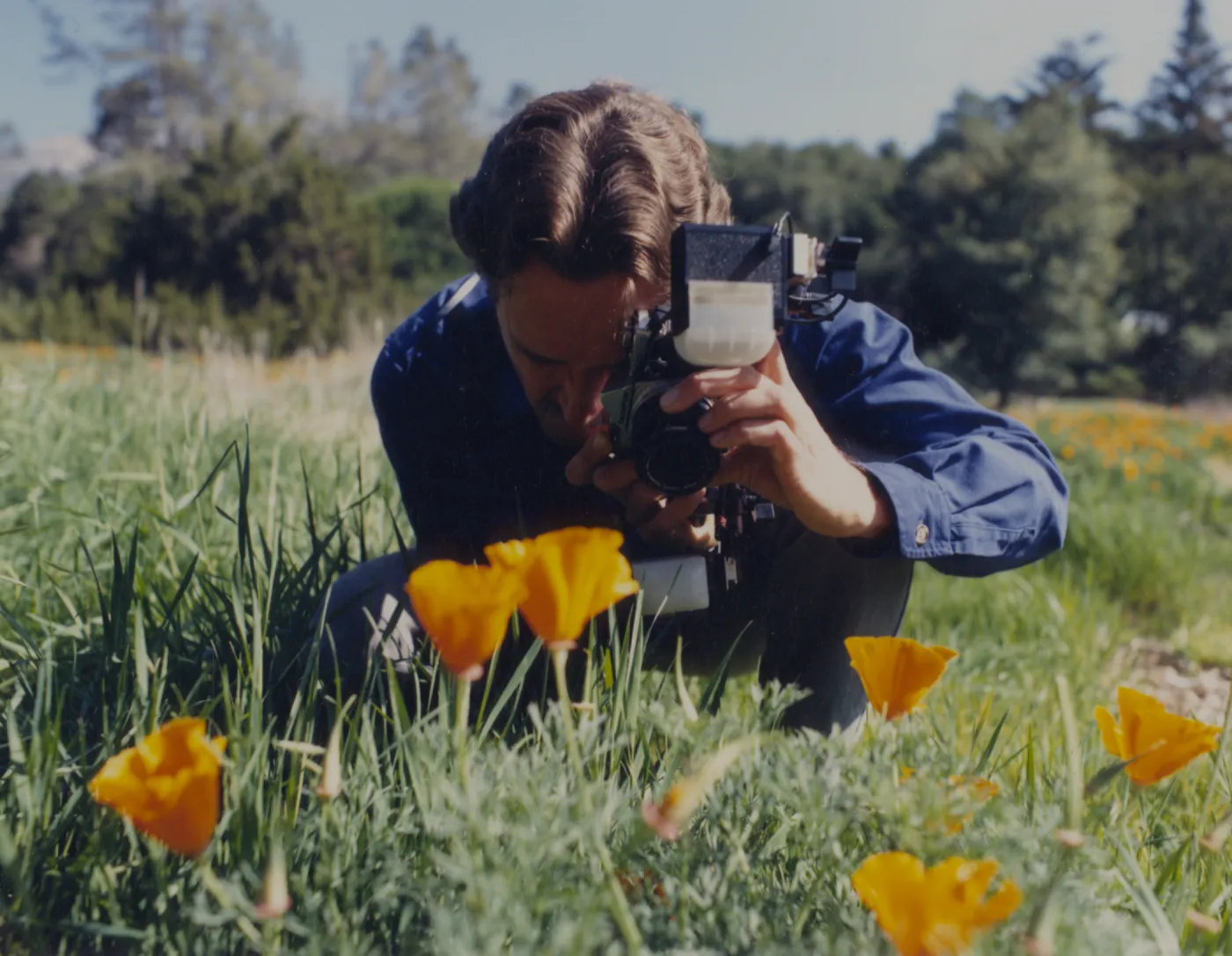 Steve Junak taking photographs in the meadow