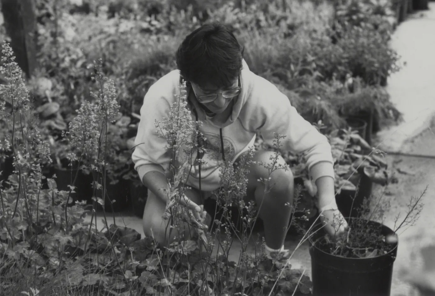 Carol Bornstein, 1985