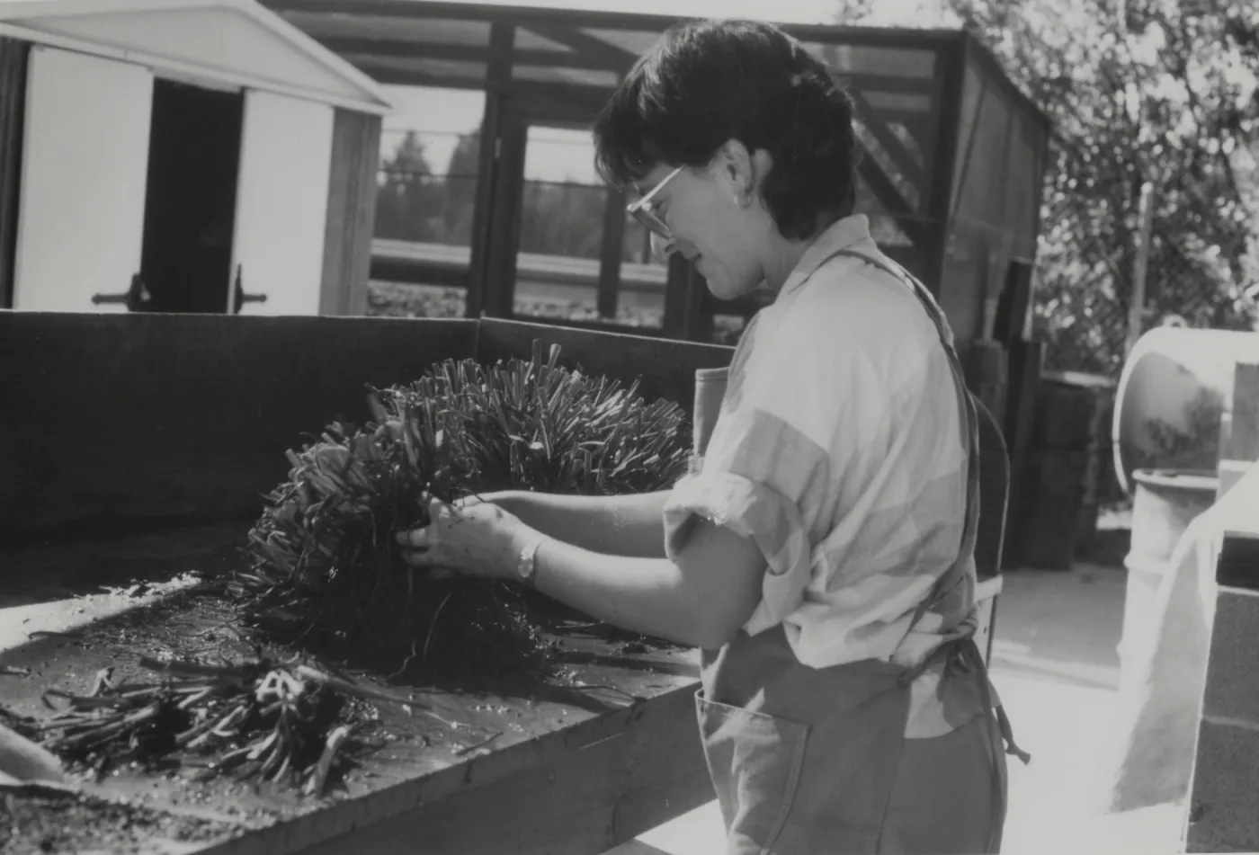 Horticulturalist Carol Bornstein