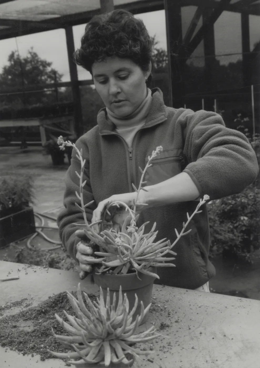Plant Propagator Caroline Cooper