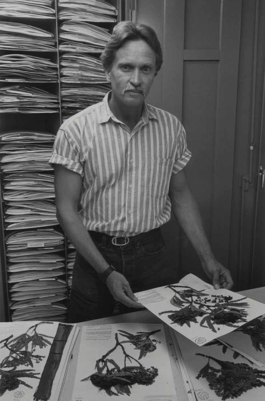 Steve Junak with Herbarium specimens