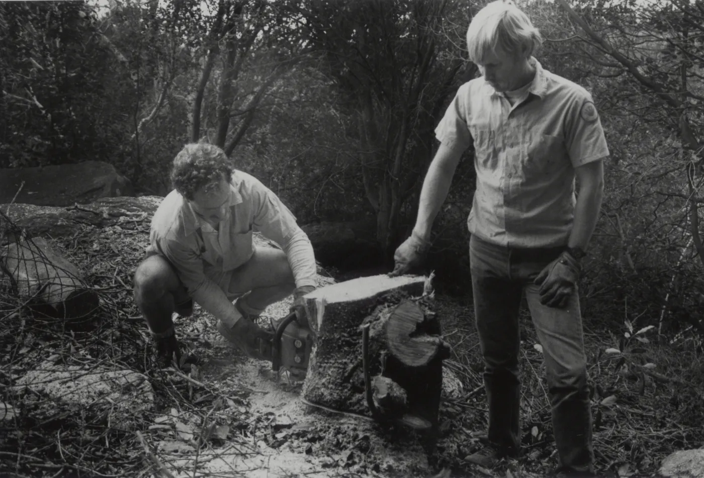 Groundsmen Randy Mudge and Jay Kendall sawing tree stump