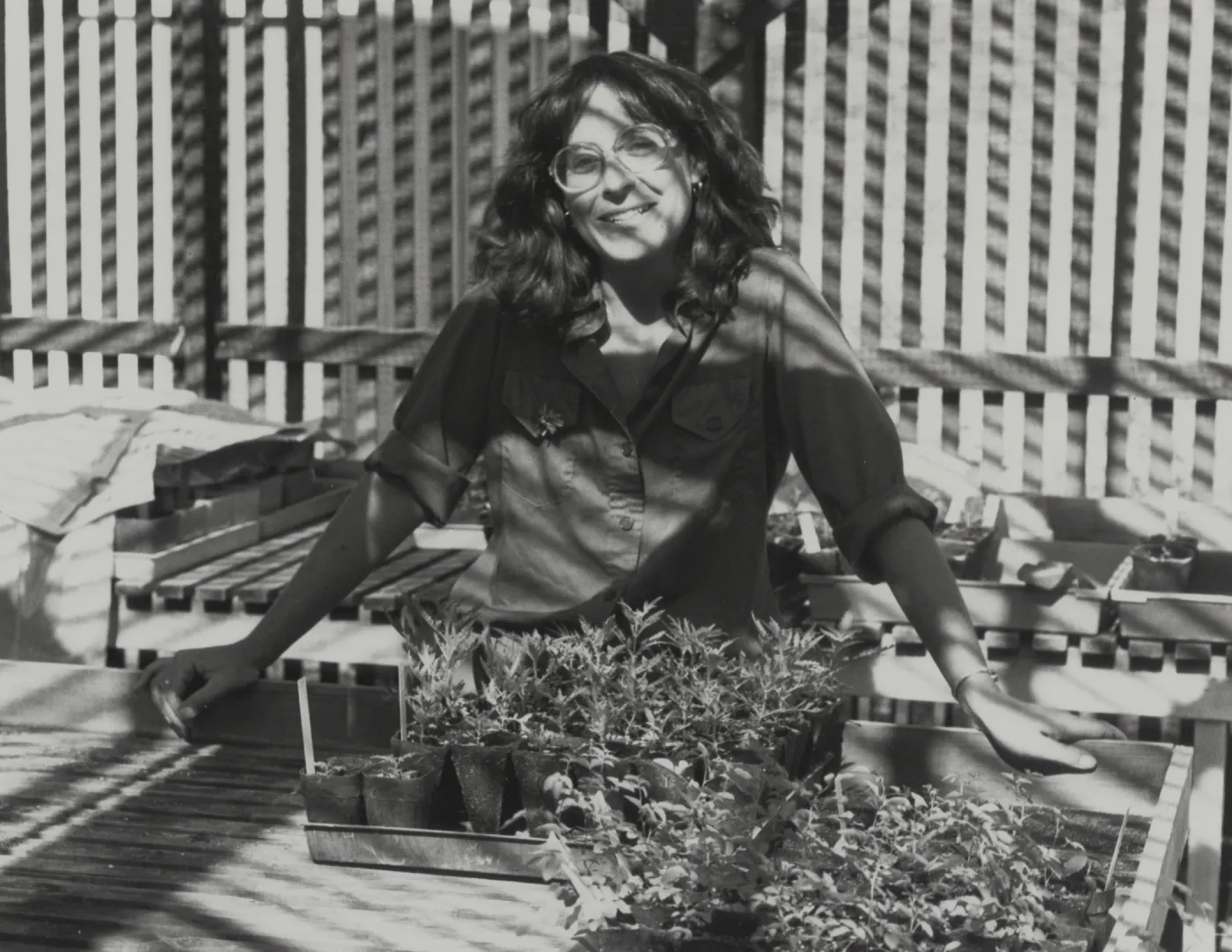 Carol Bornstein, Plant Propagator