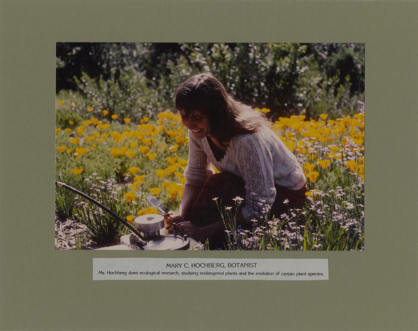 Mary Hochberg, Botanist