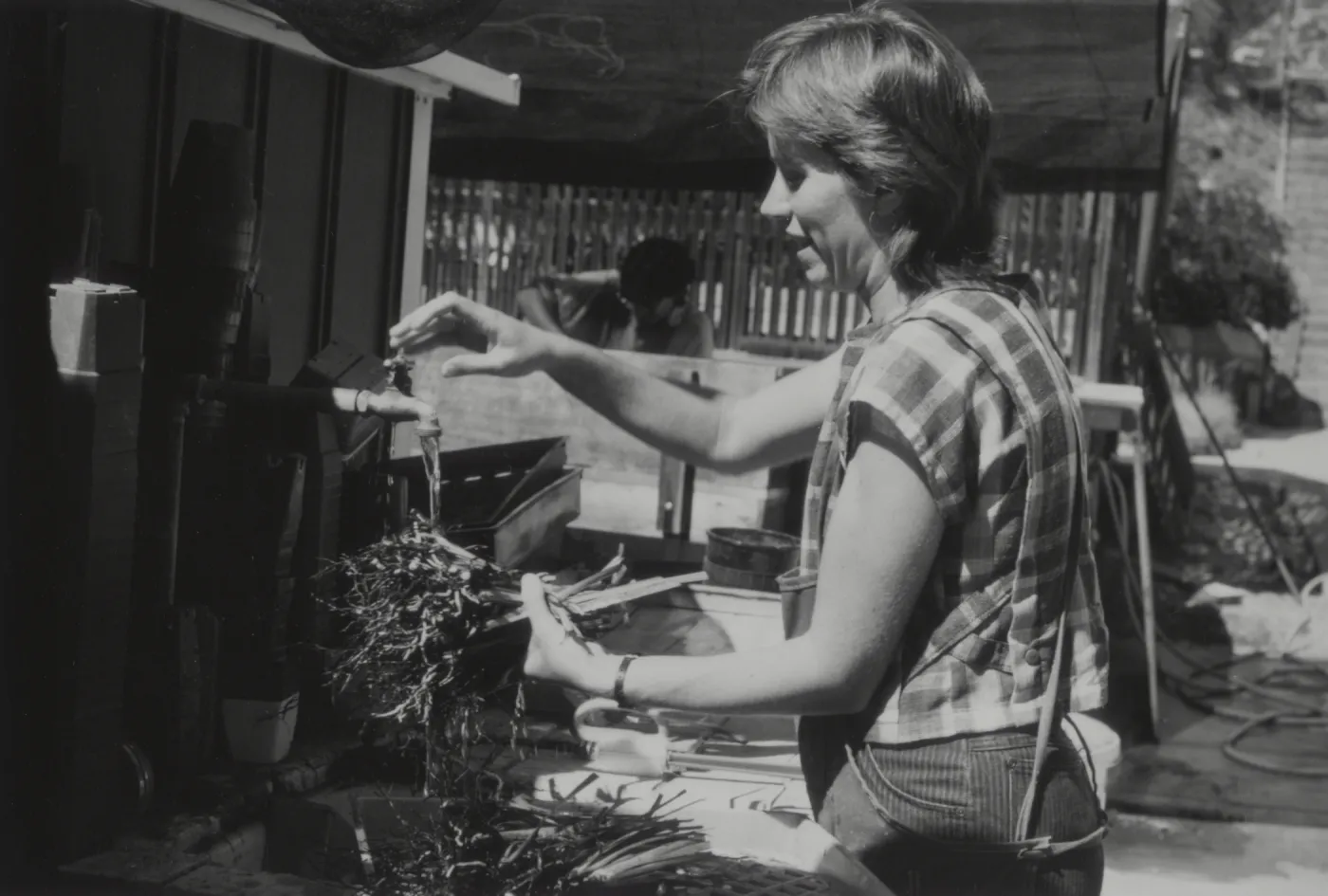 Debbie Sitka, Horticultural Assistant, 1985